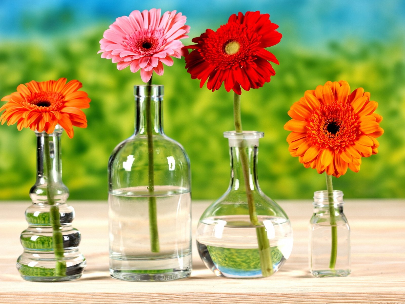 Хризантемы в бутылках