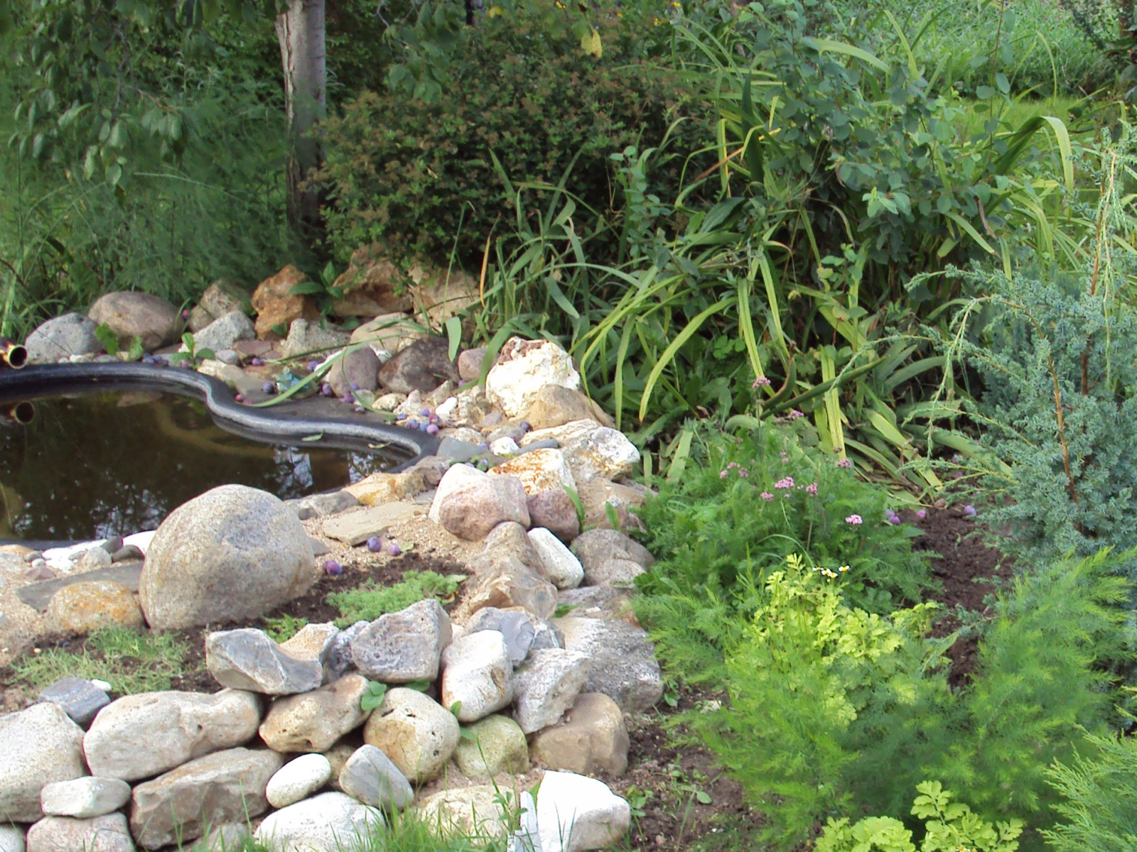 На поляне красивая альпийская горка