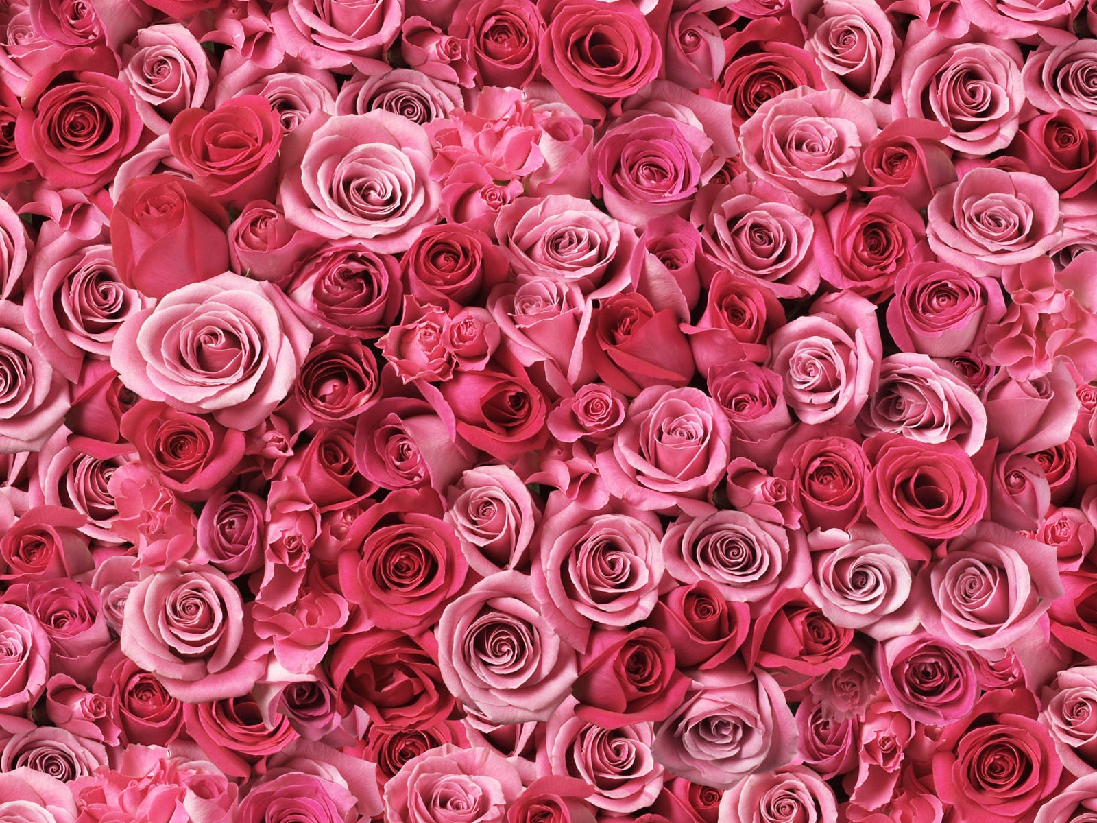 Спирали любви 