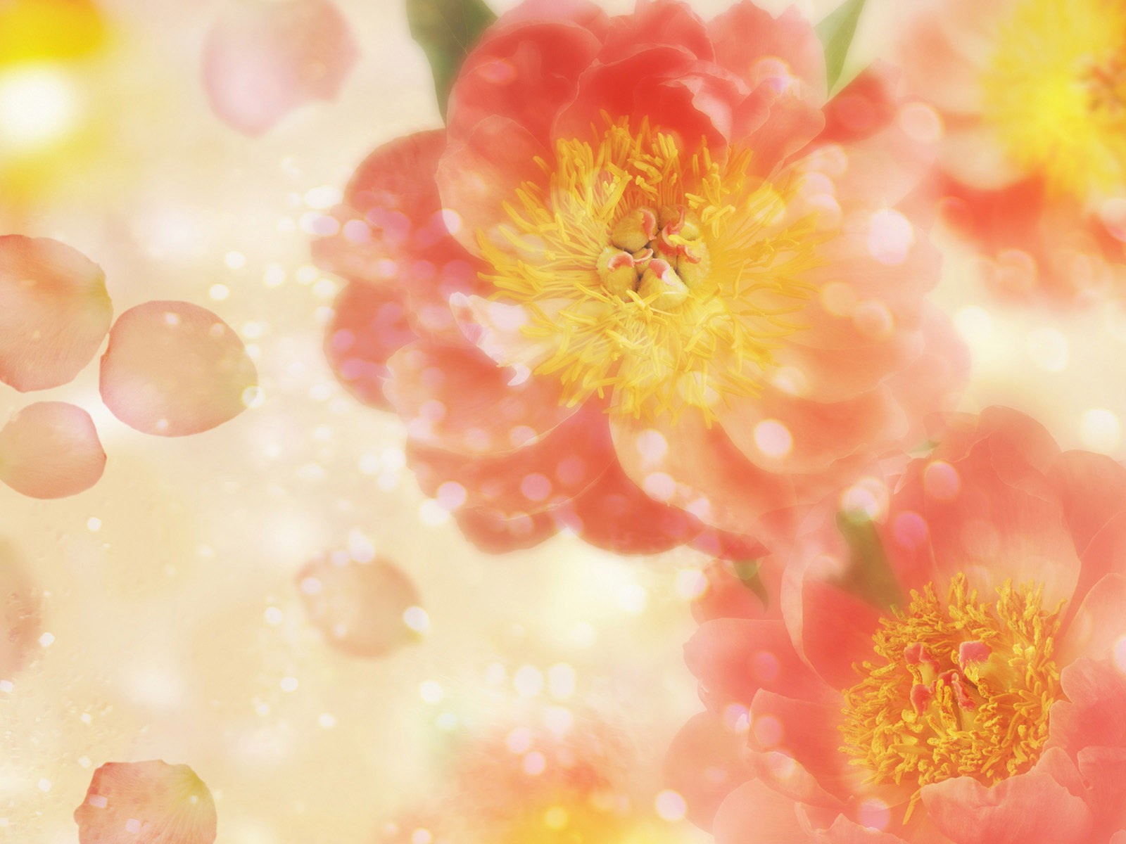 Летящие лепестки