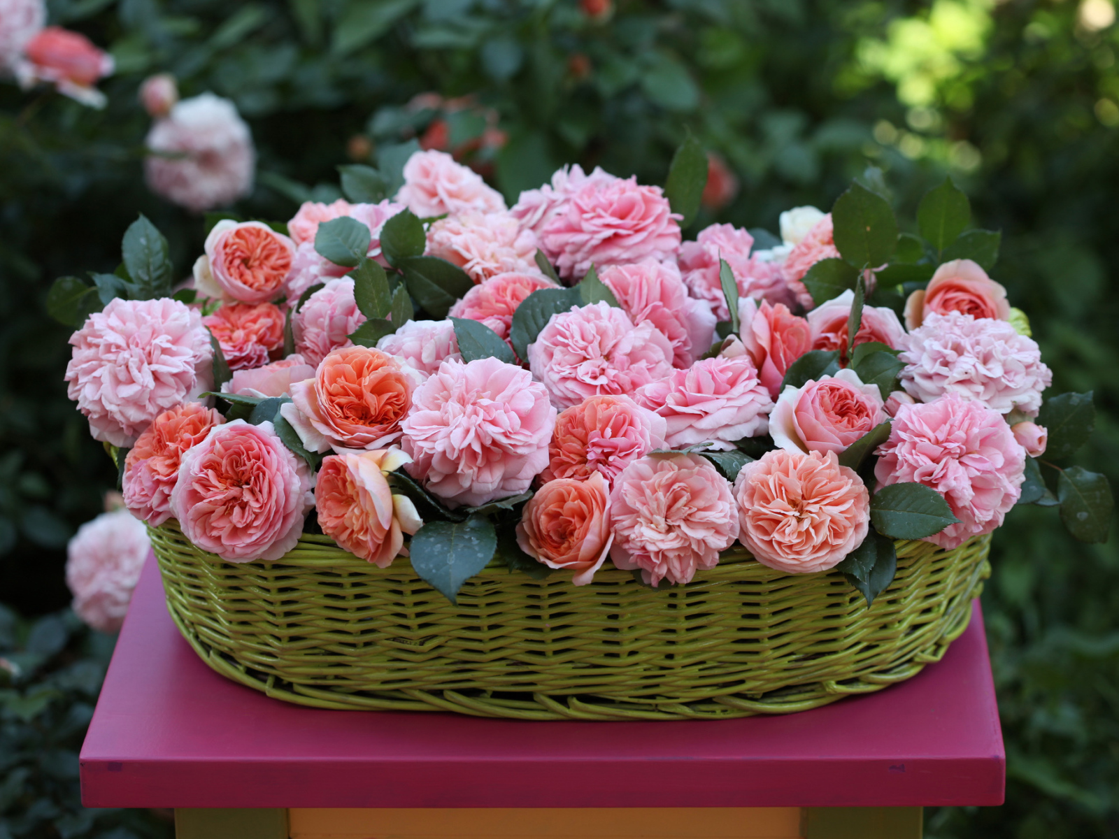 Цветы в зеленой корзине