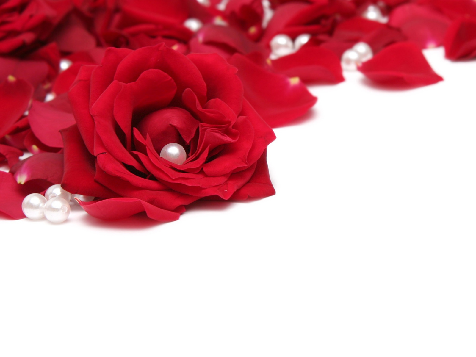 Розы и жемчуг
