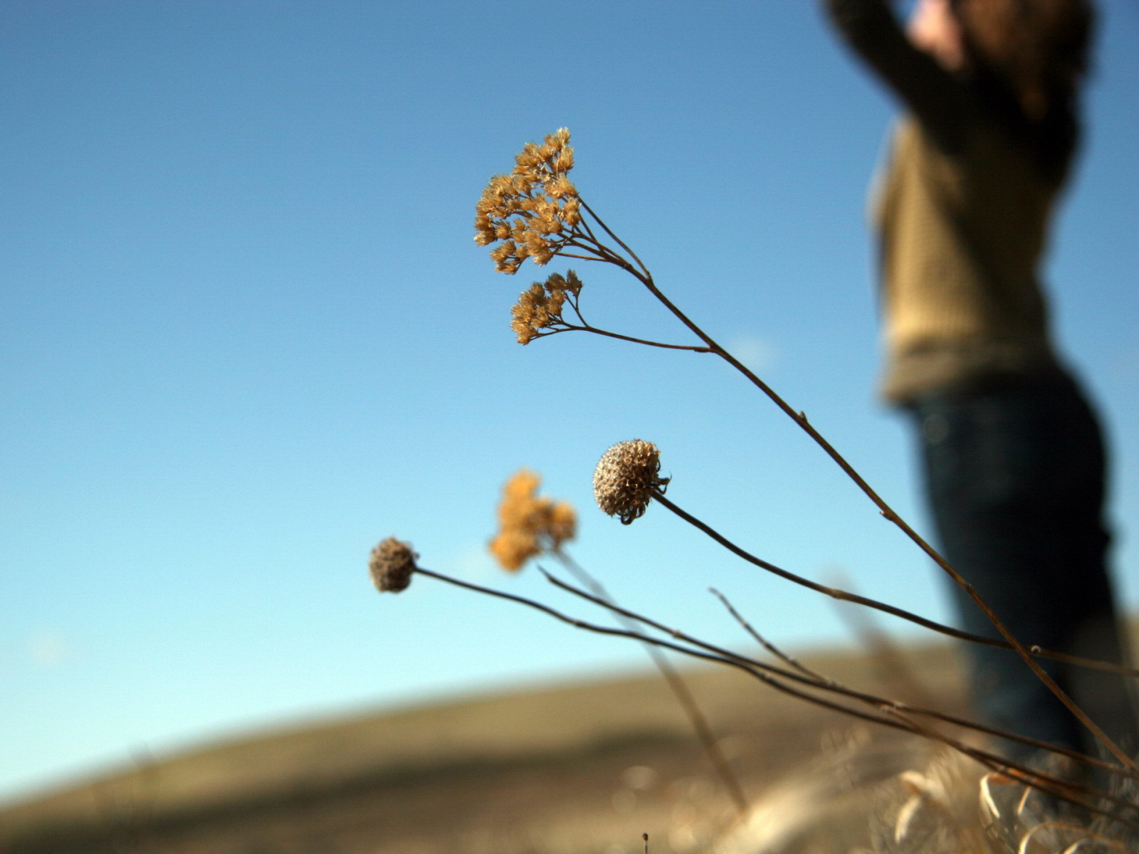 Силуэт девушки
