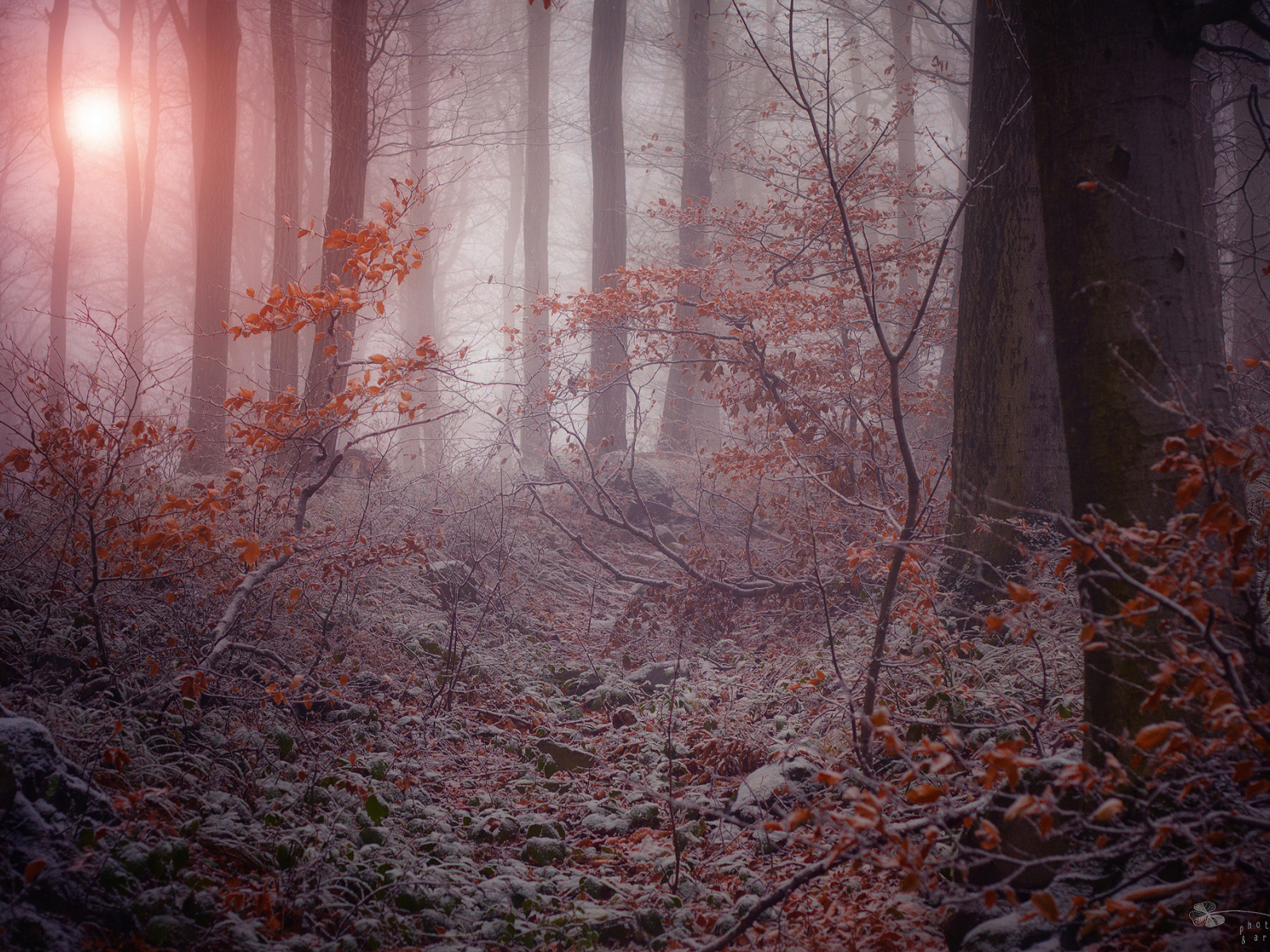 Поздняя осень