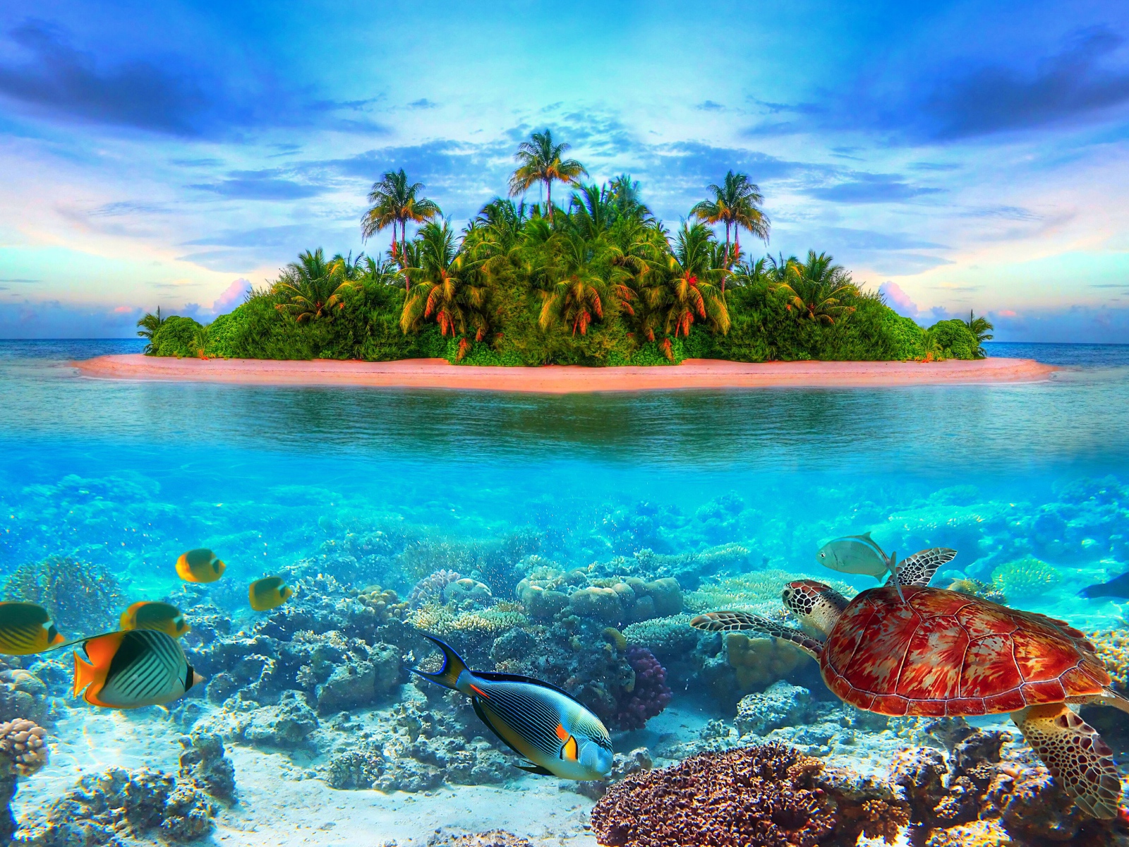 Остров в тропиках