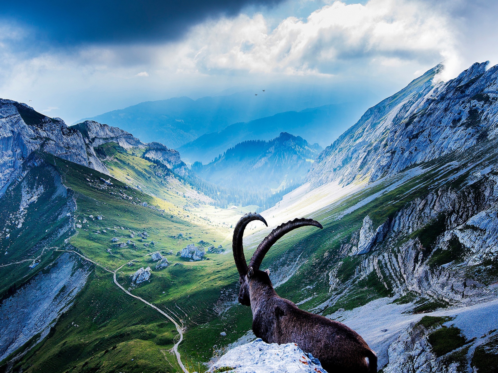 Вершины гор