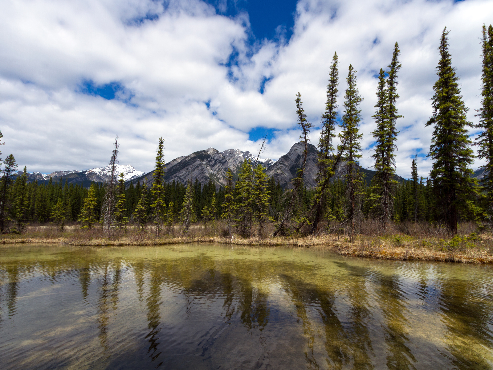 Маленькое озеро и красивые горы