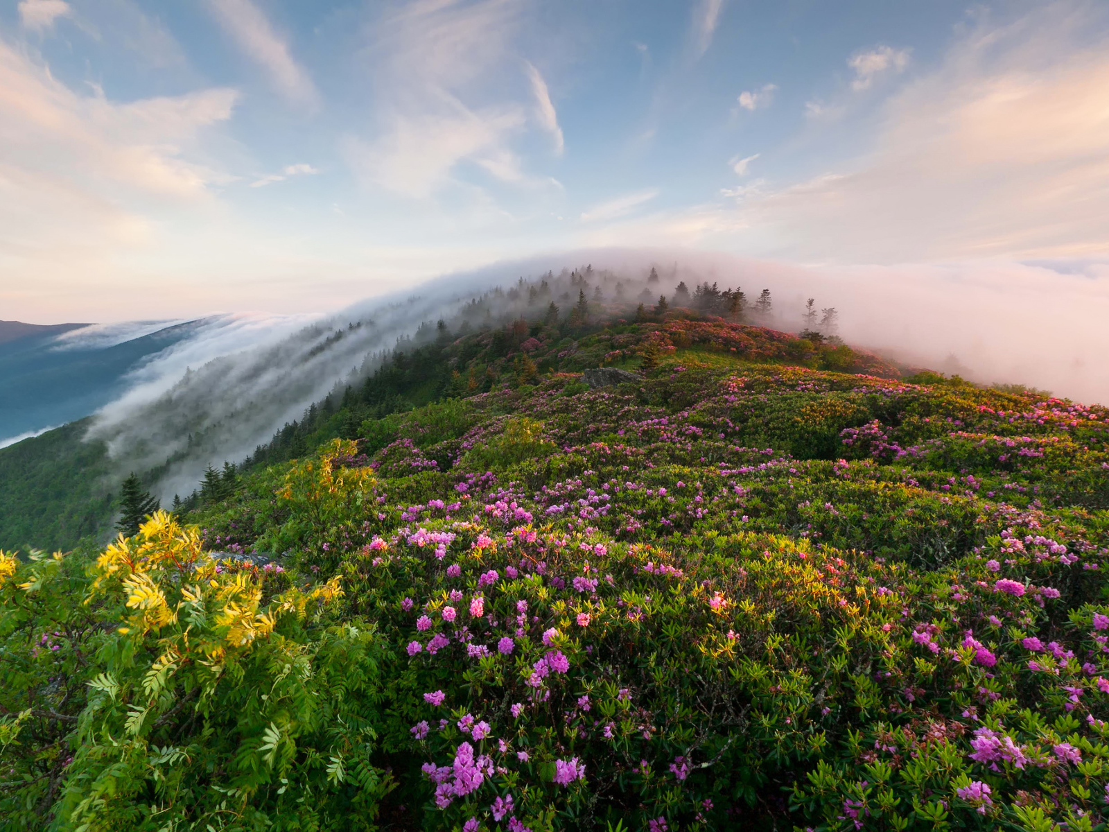 Утренний туман в горах