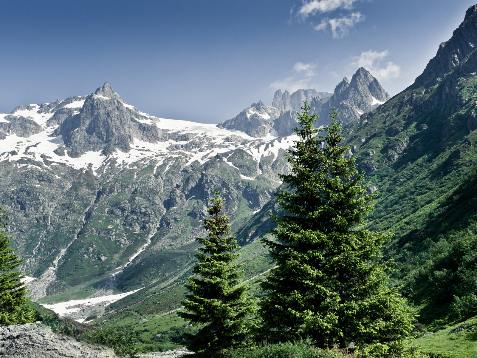 Снежные горы и деревья