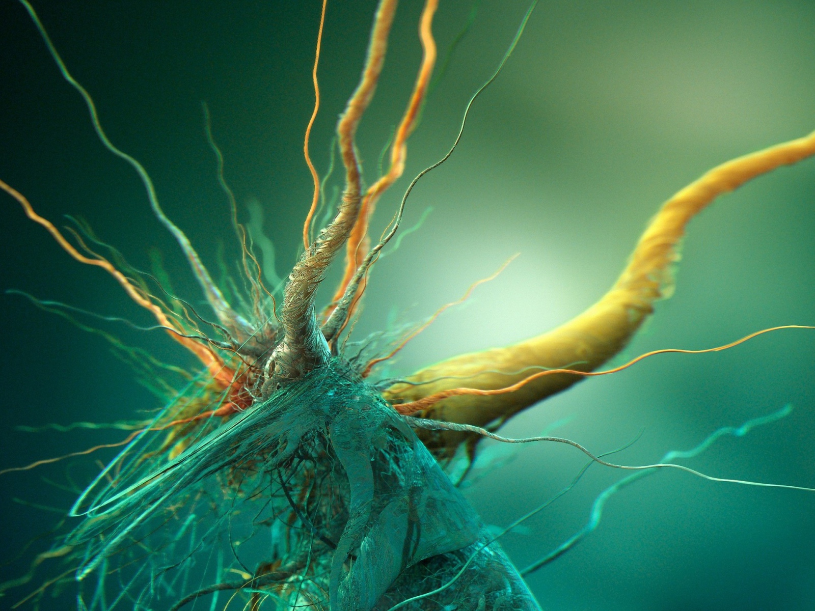 Бактерия под микроскопом