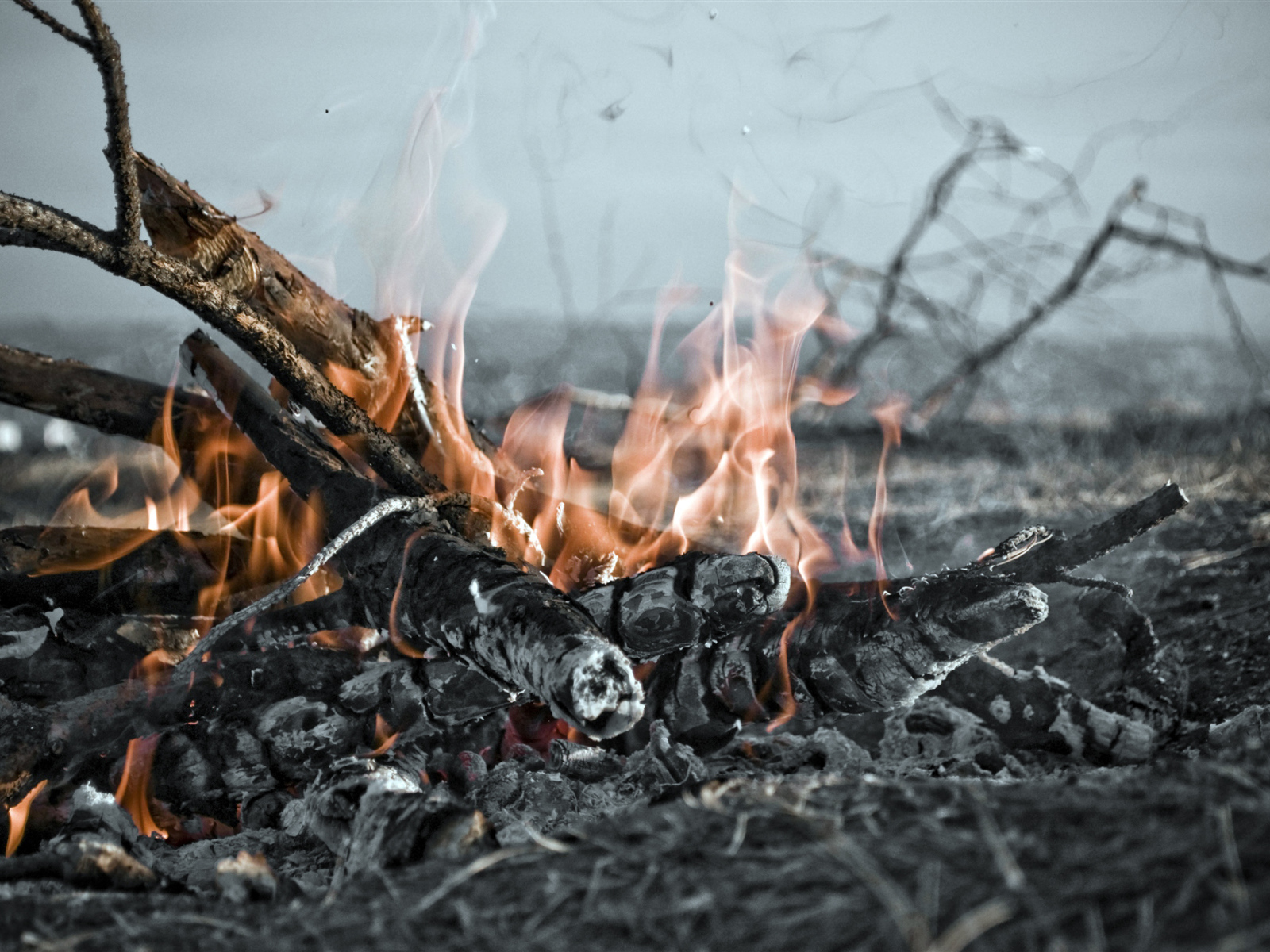 Огонь костра