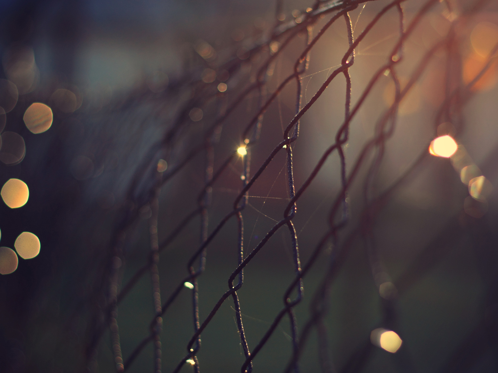 Проволочный забор