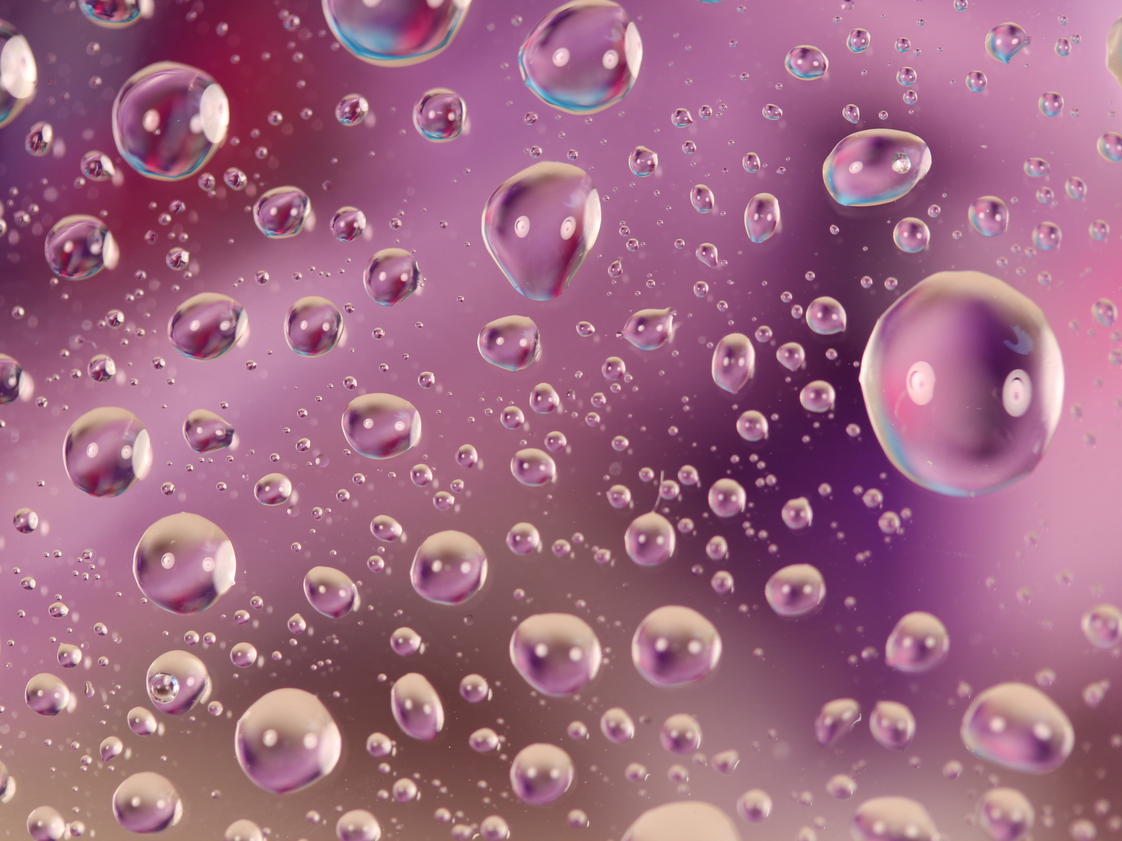 Розовые капли воды