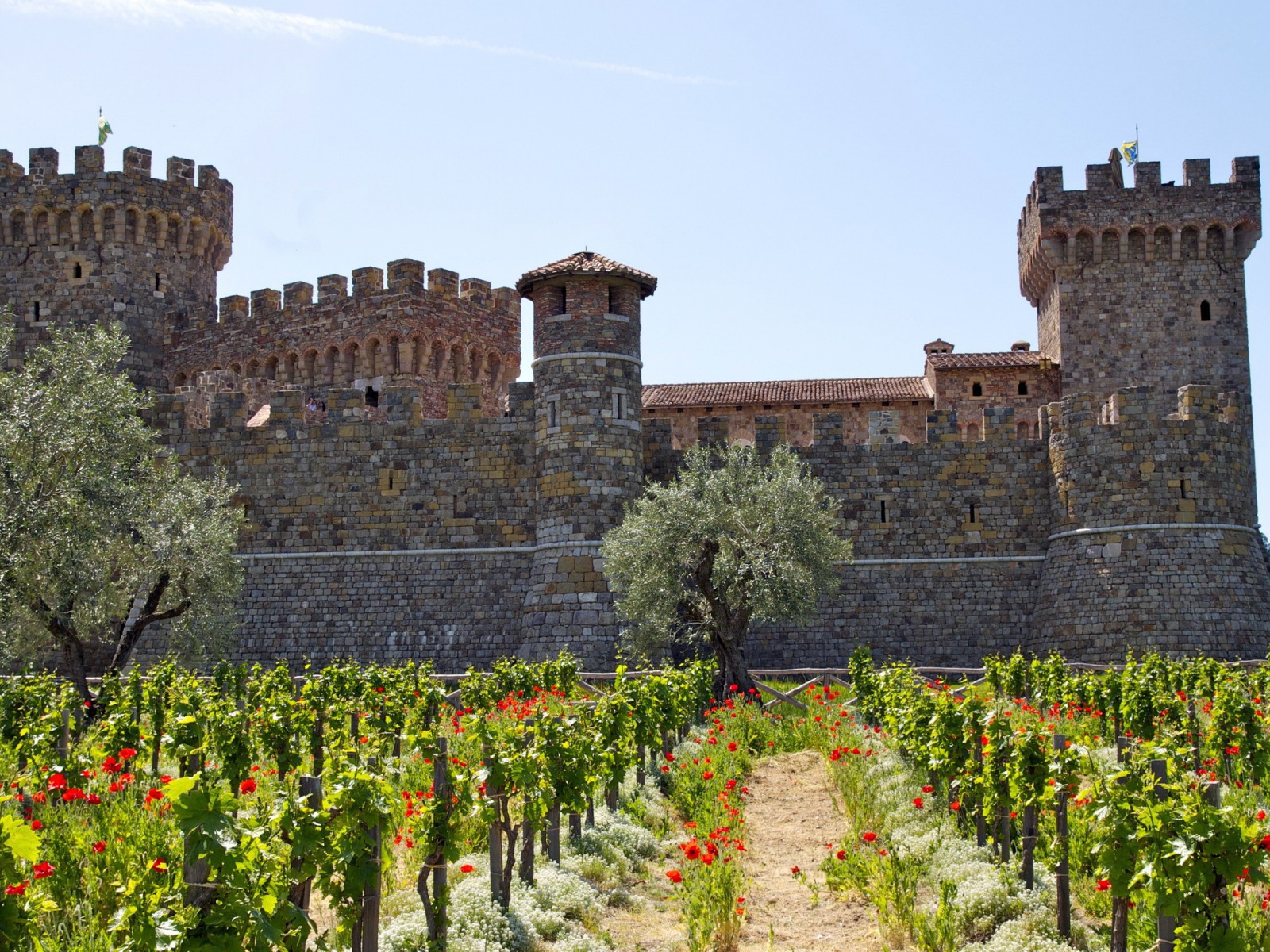 Виноградник у крепости