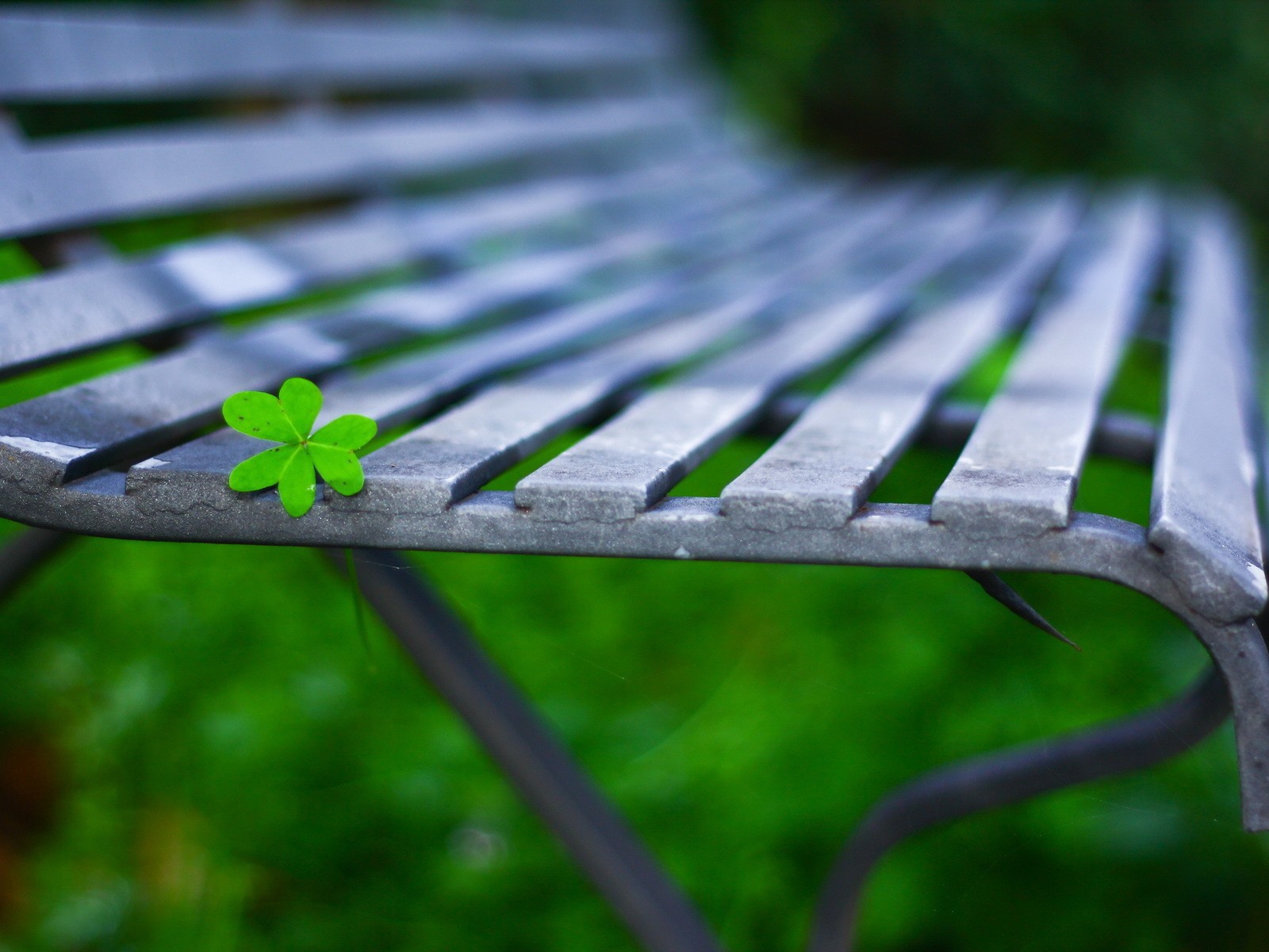 Лист на садовой скамейке