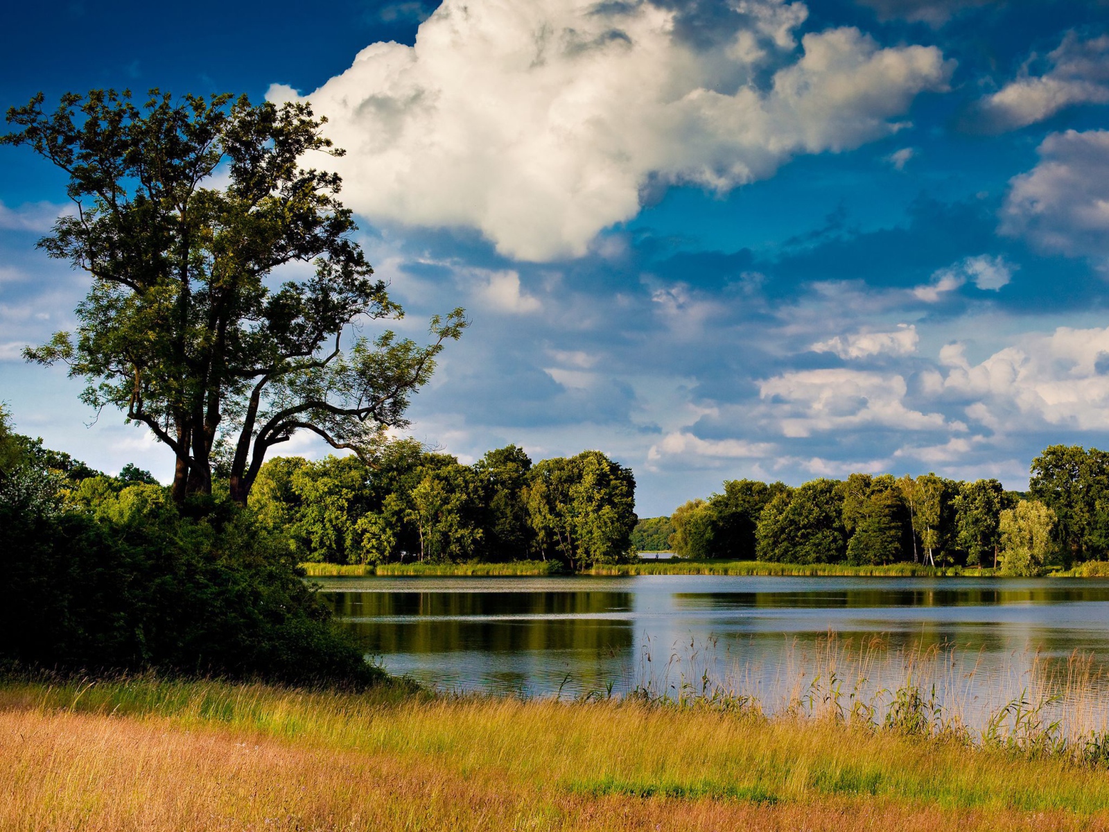 Озеро среди лугов
