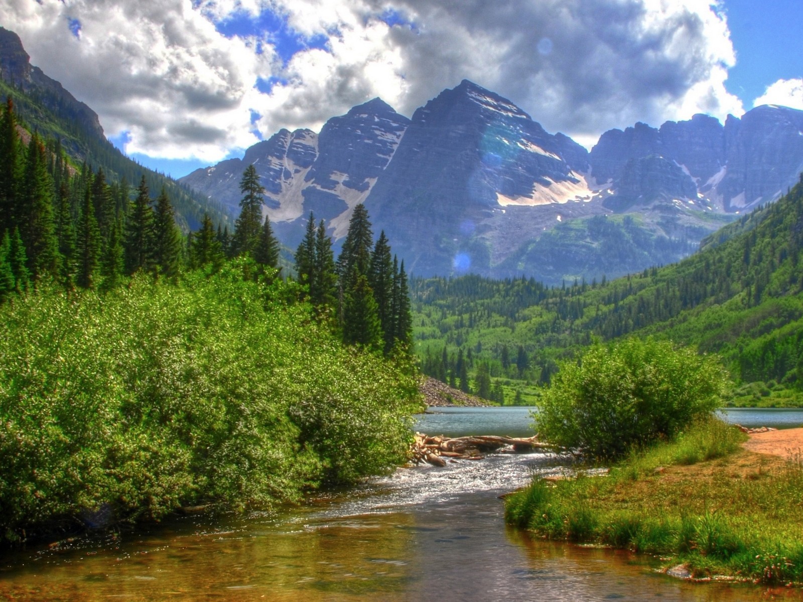 Река в зеленых зарослях