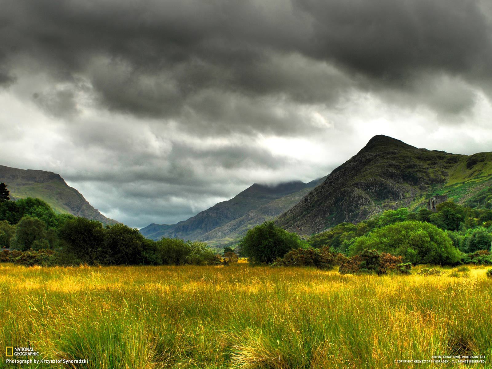 Болото заросшее травой