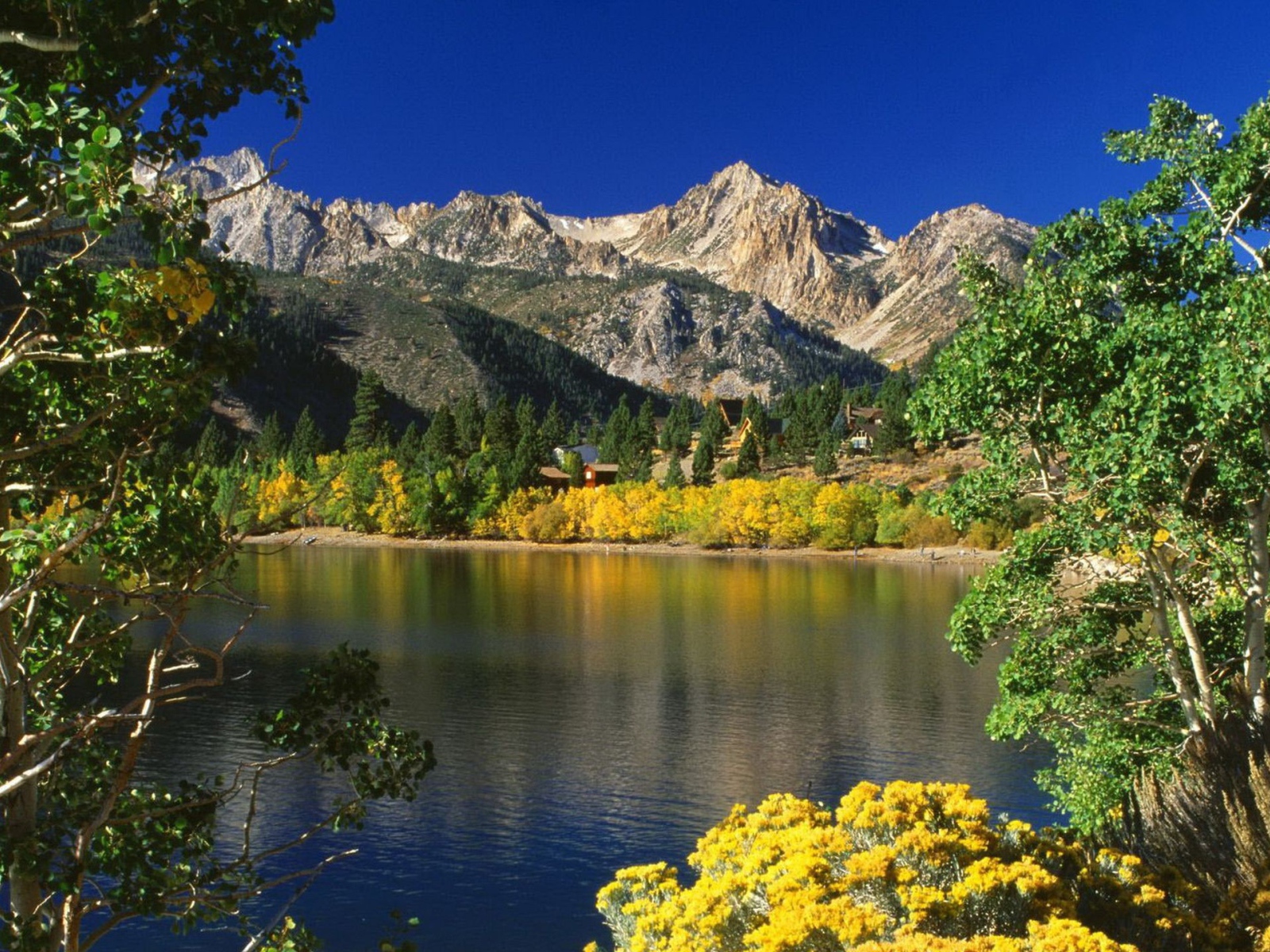 Озеро и деревья