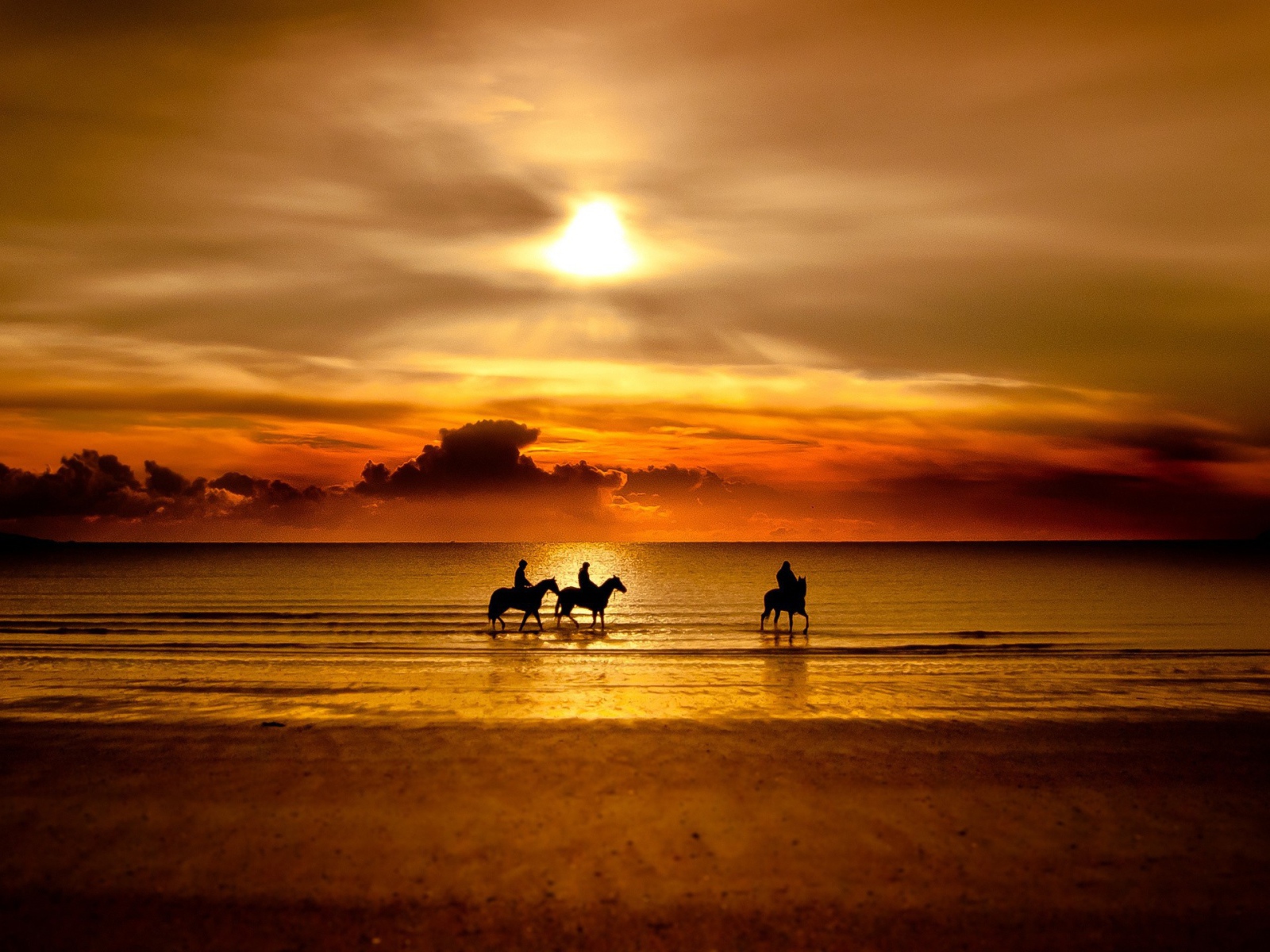 Катание на лошадях по пляжу