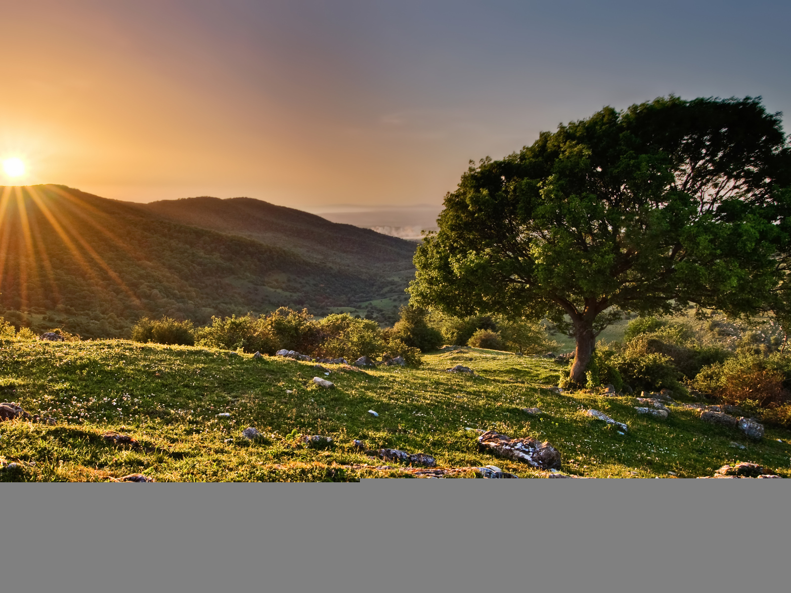 Закат в заповеднике