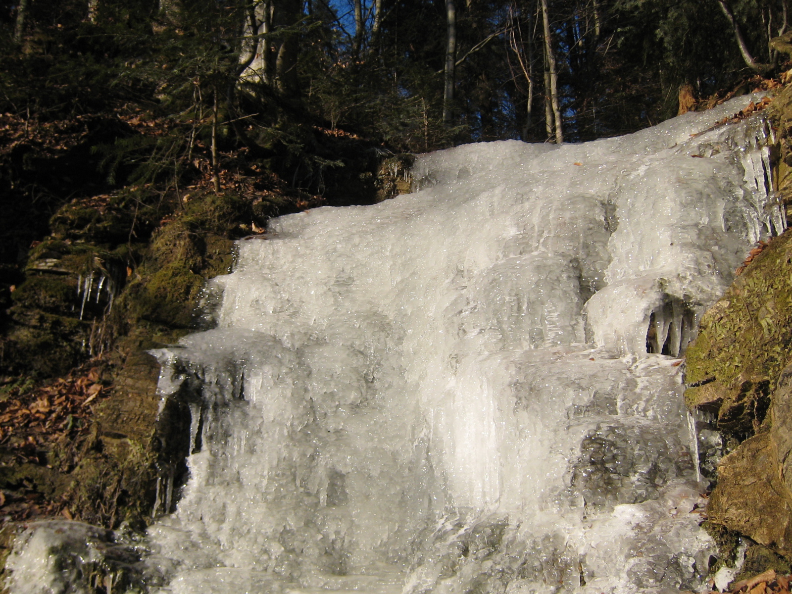 Замерзший водопад в лесу