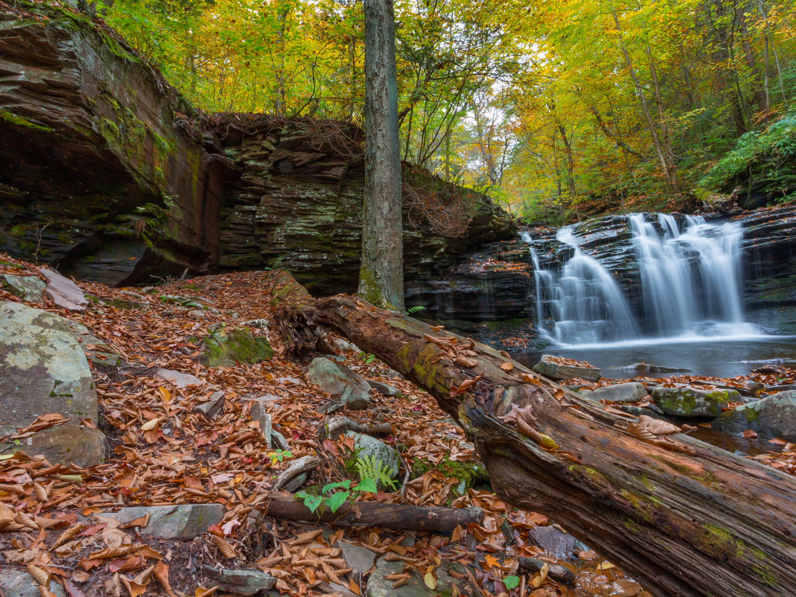 Скалы с водопадом