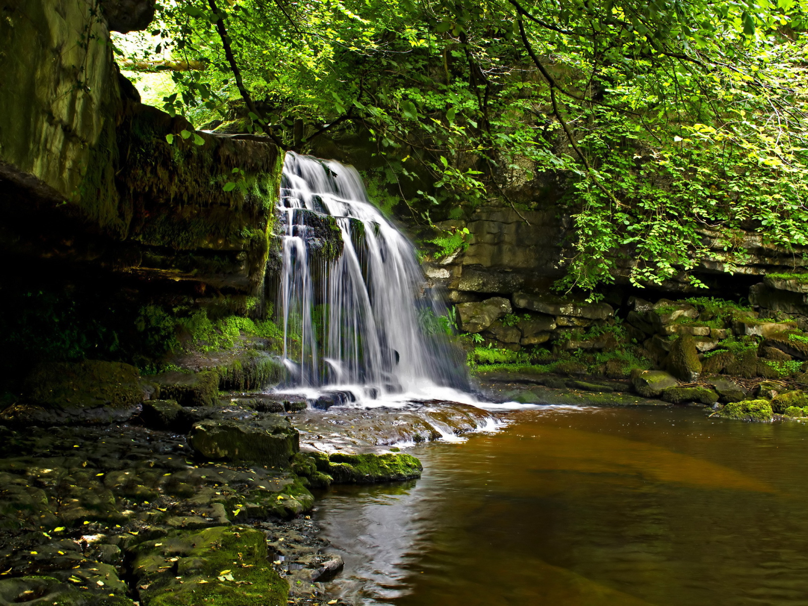 Маленький водопад в лесу