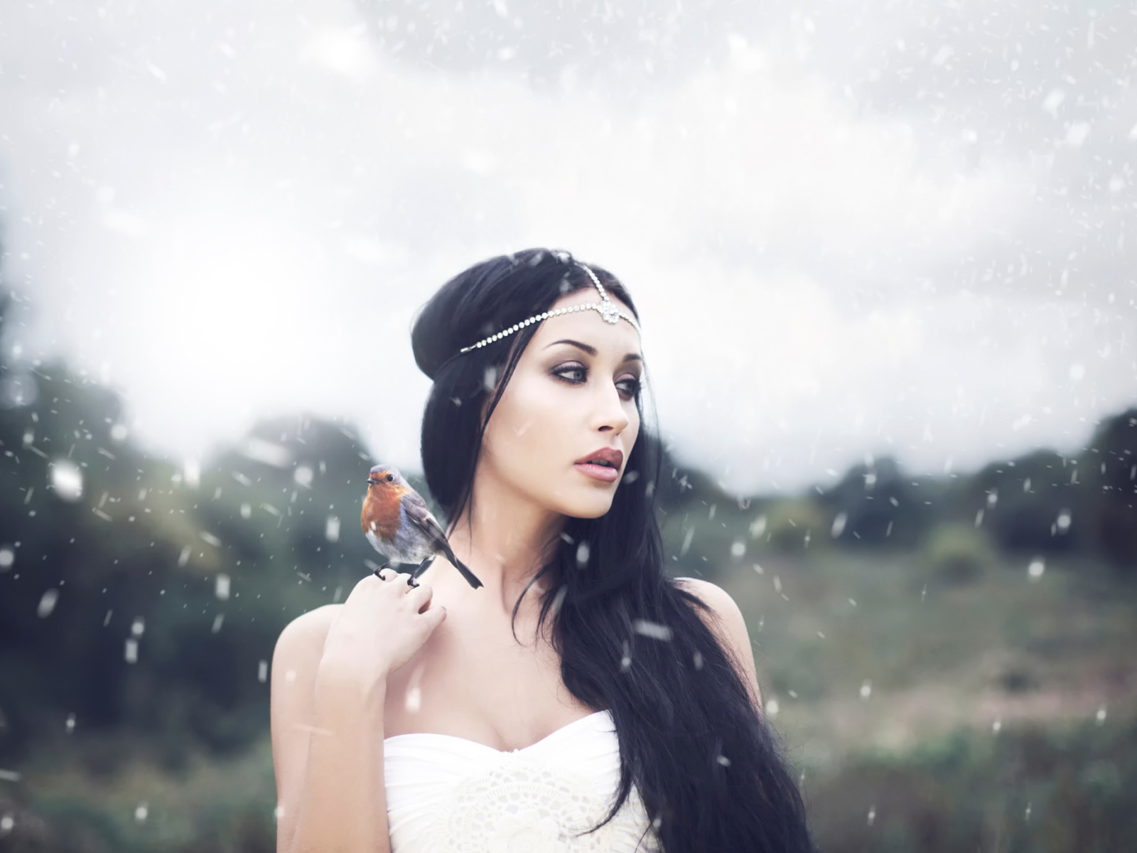 Птица на плече