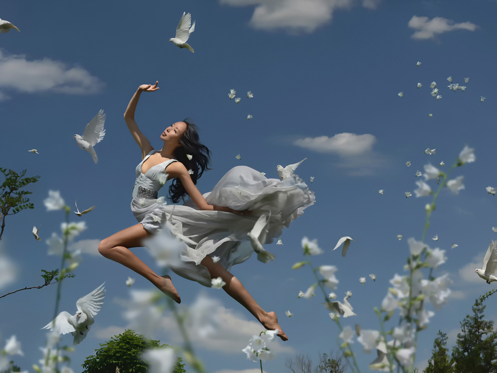 Полет с птицами