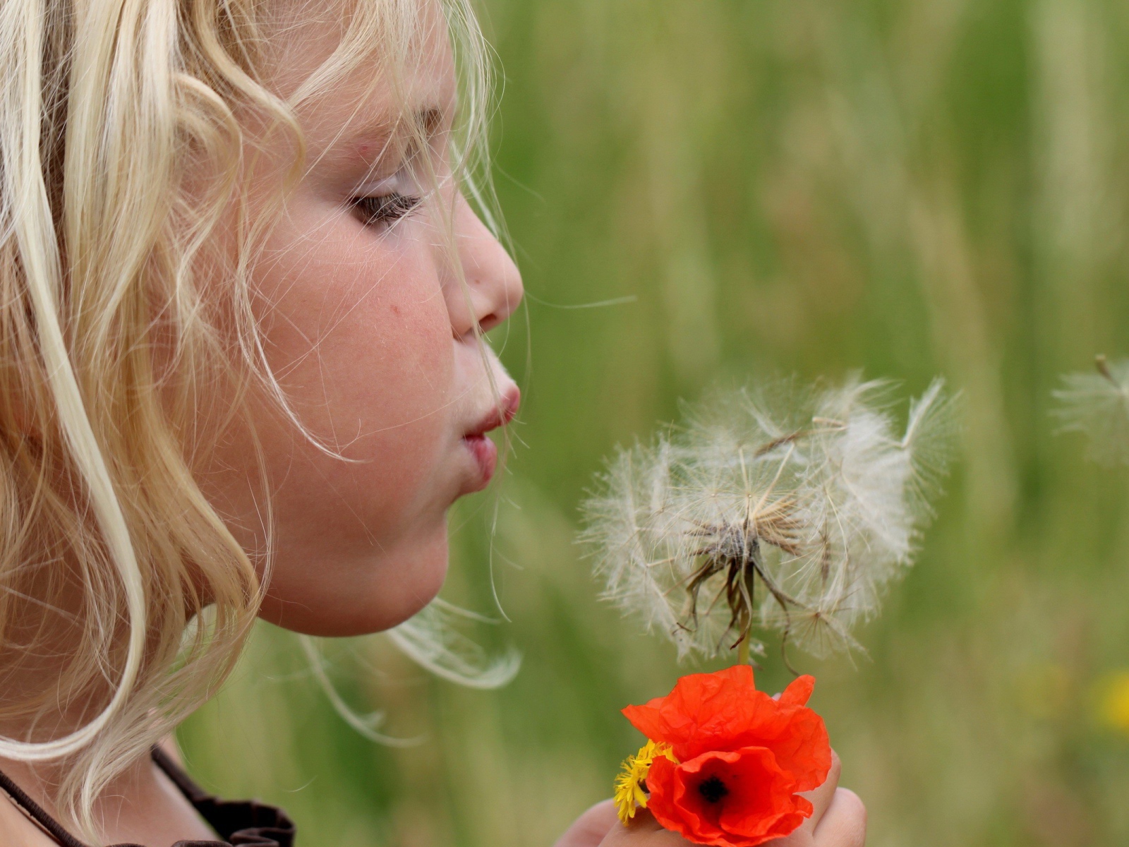 Девочка дует на цветок одуванчик