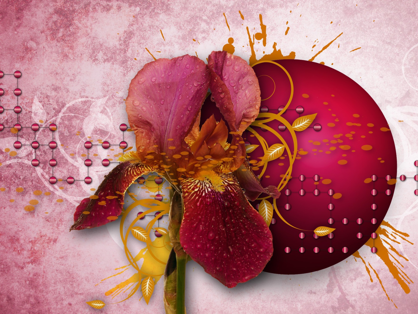 Абстракция с лепестками