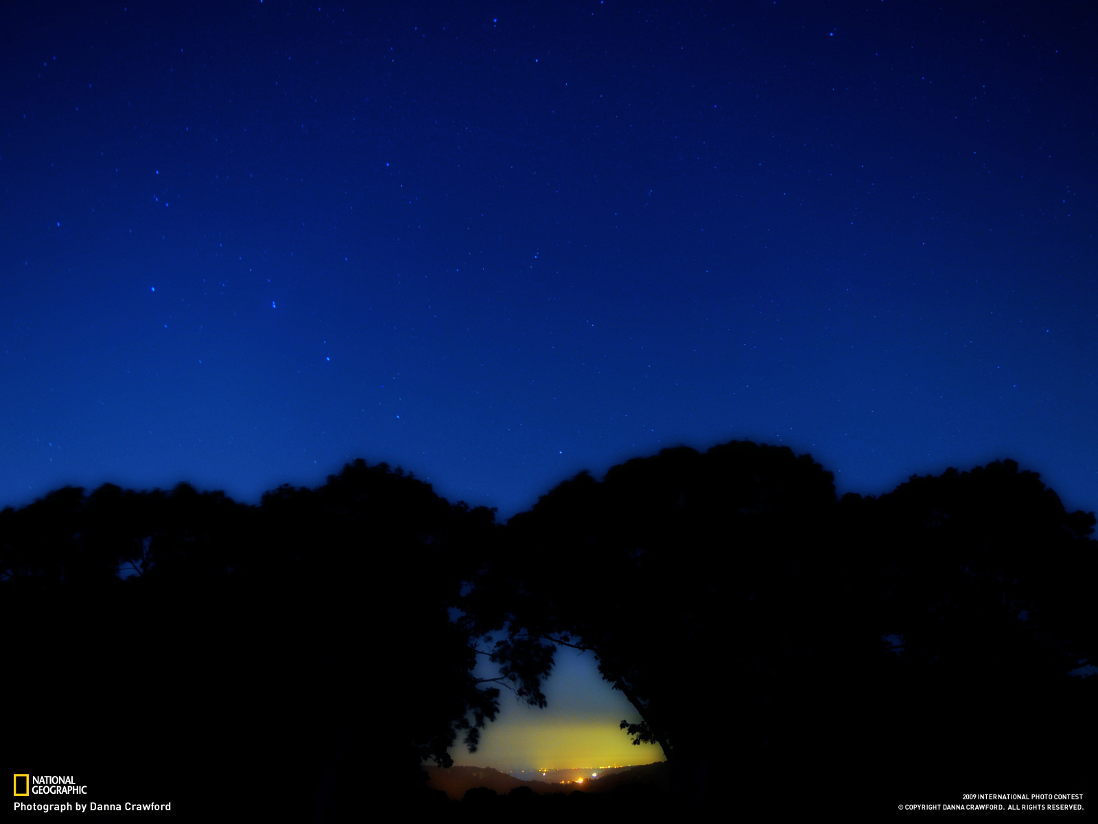 Созвездие Большая медведица