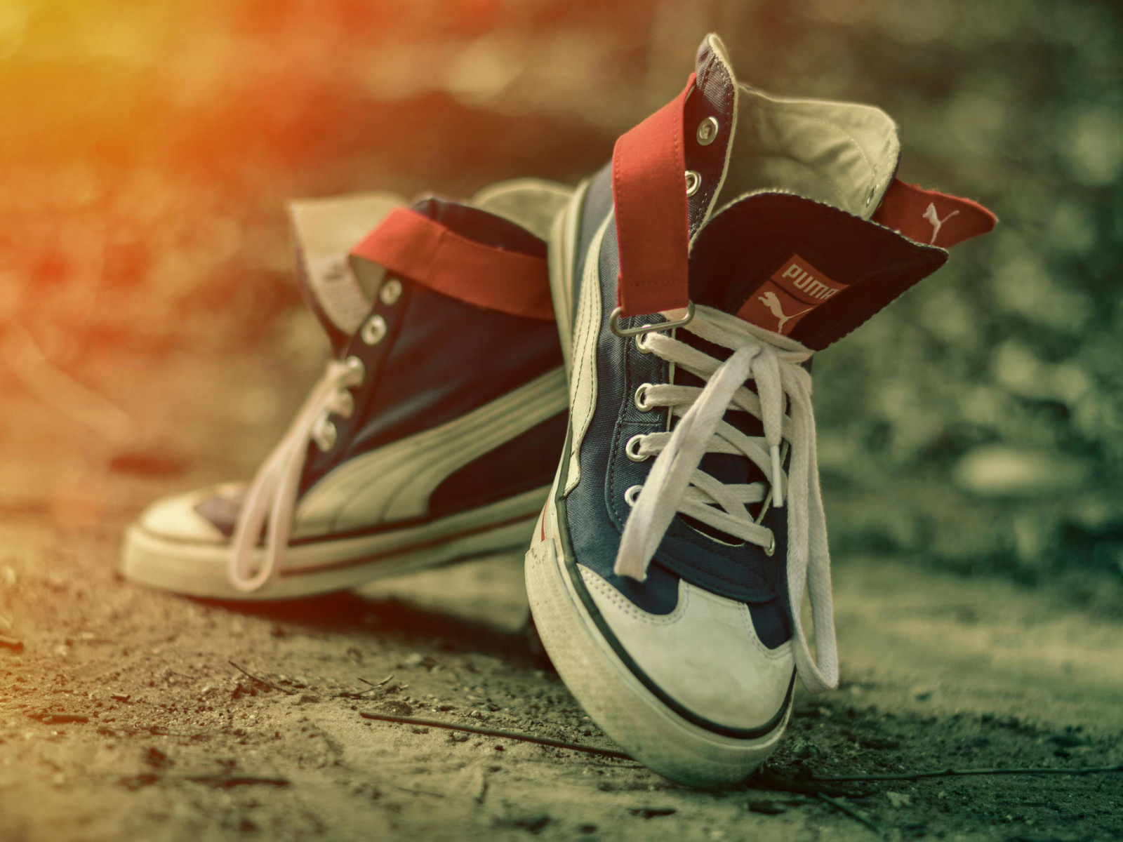 Пара красивых кед