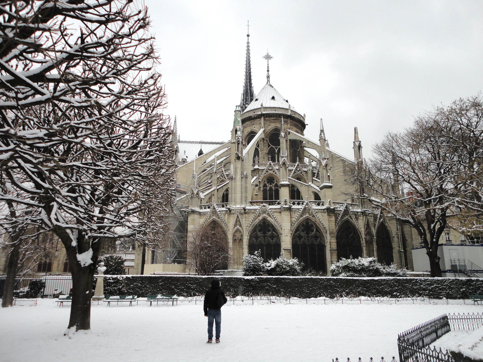 Снег в Париже Собор Парижской Богоматери