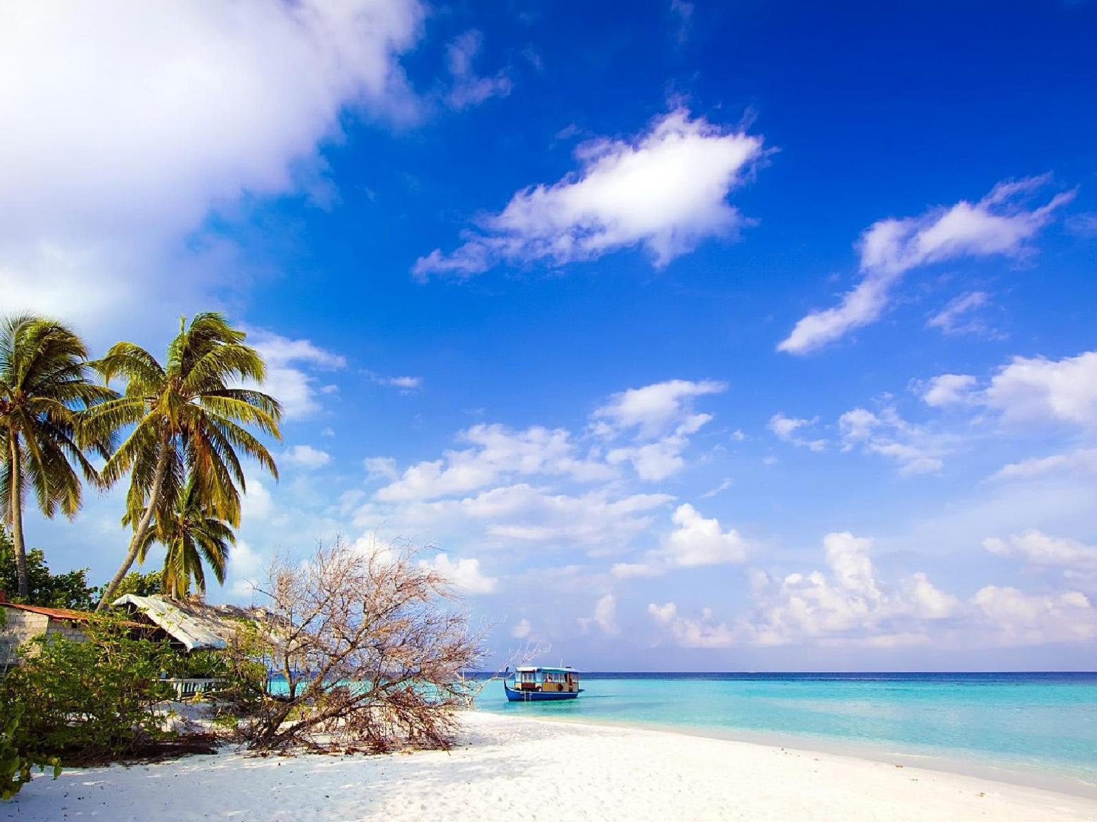 Природа острова Бали