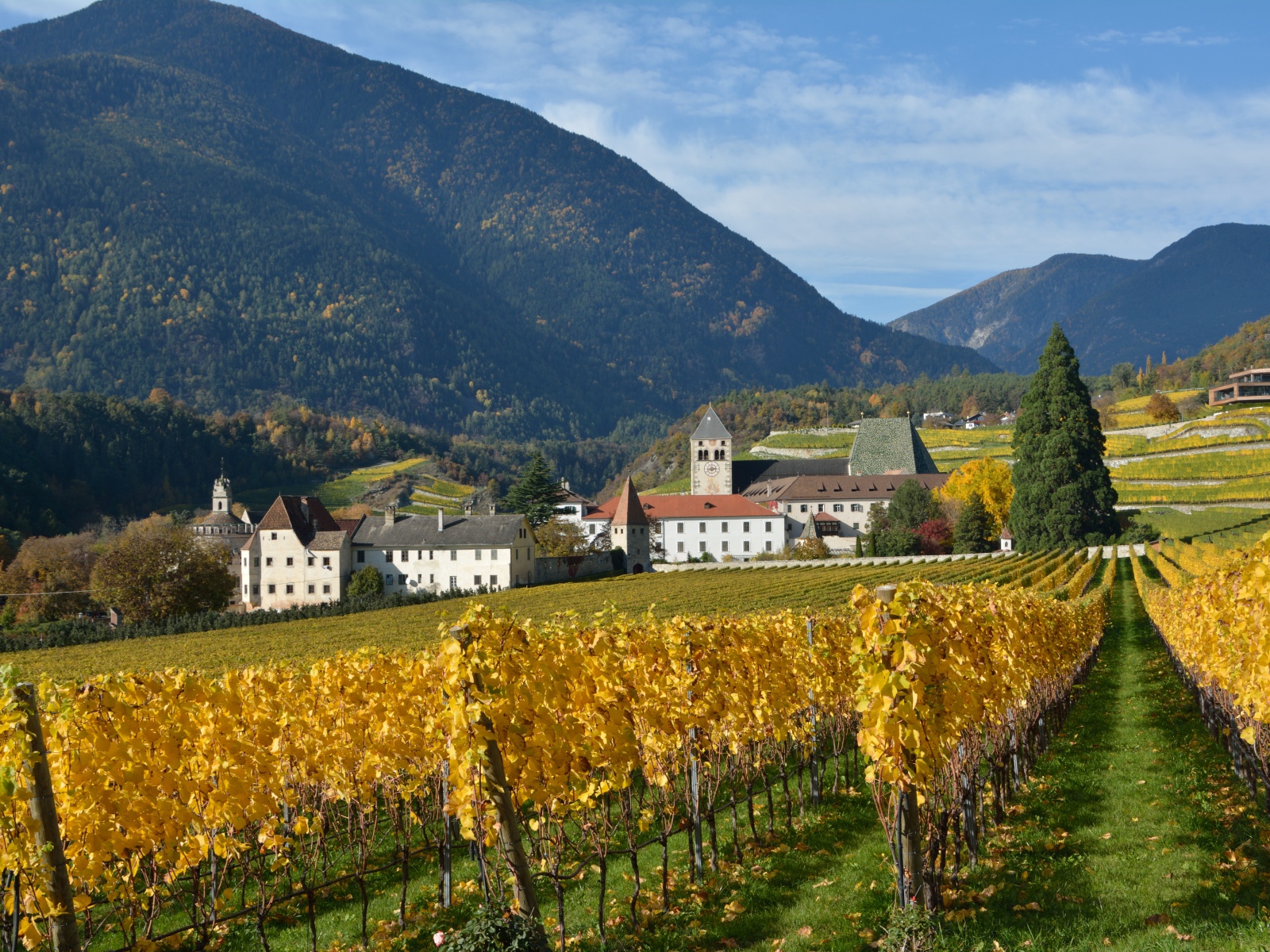 Поля в окрестностях города Нойштифт, Австрия