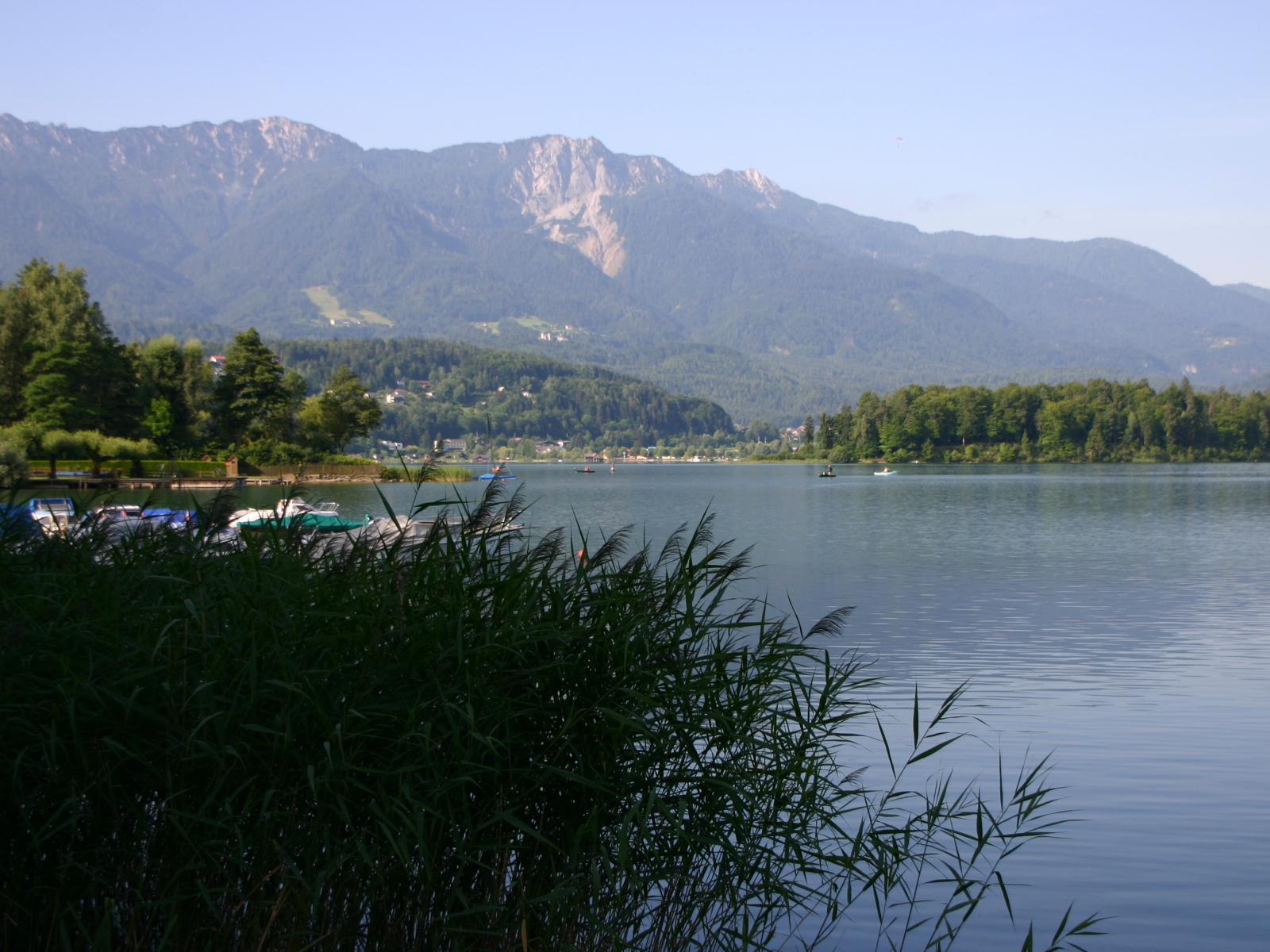 Камыши на озере на курорте Фаакер-Зее, Австрия