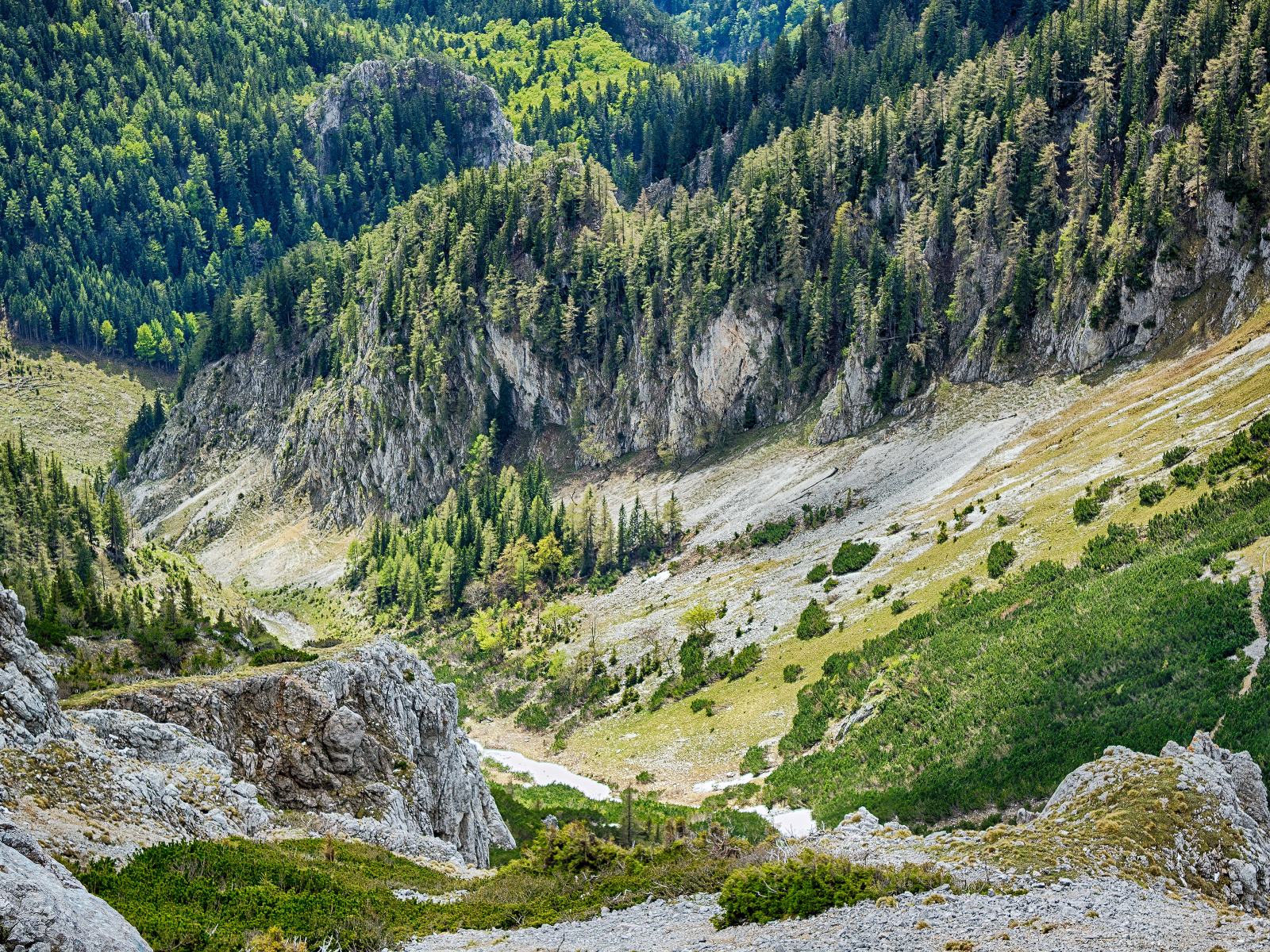 Южный склон Шнееберг, самая высокая гора Нижней Австрии