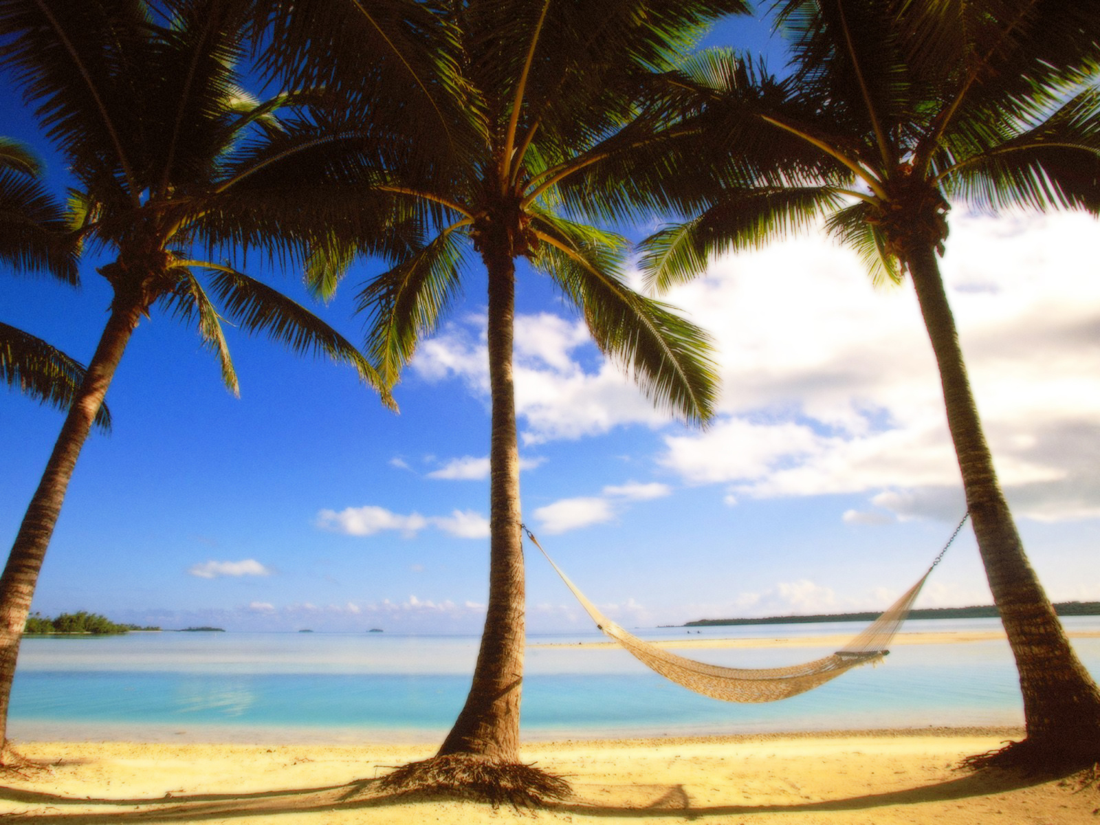 Пальмы на пляже в жаркий день в Барбадосе