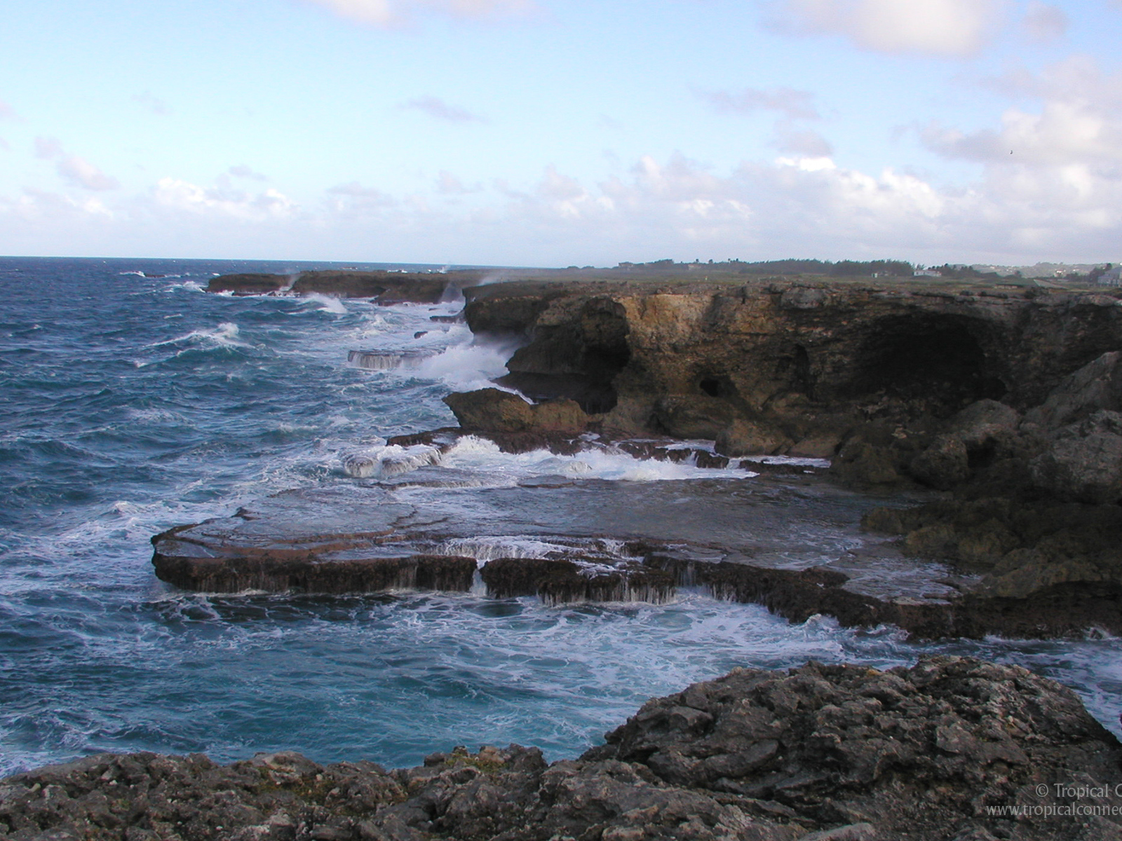 Восхитительная страна Барбадос