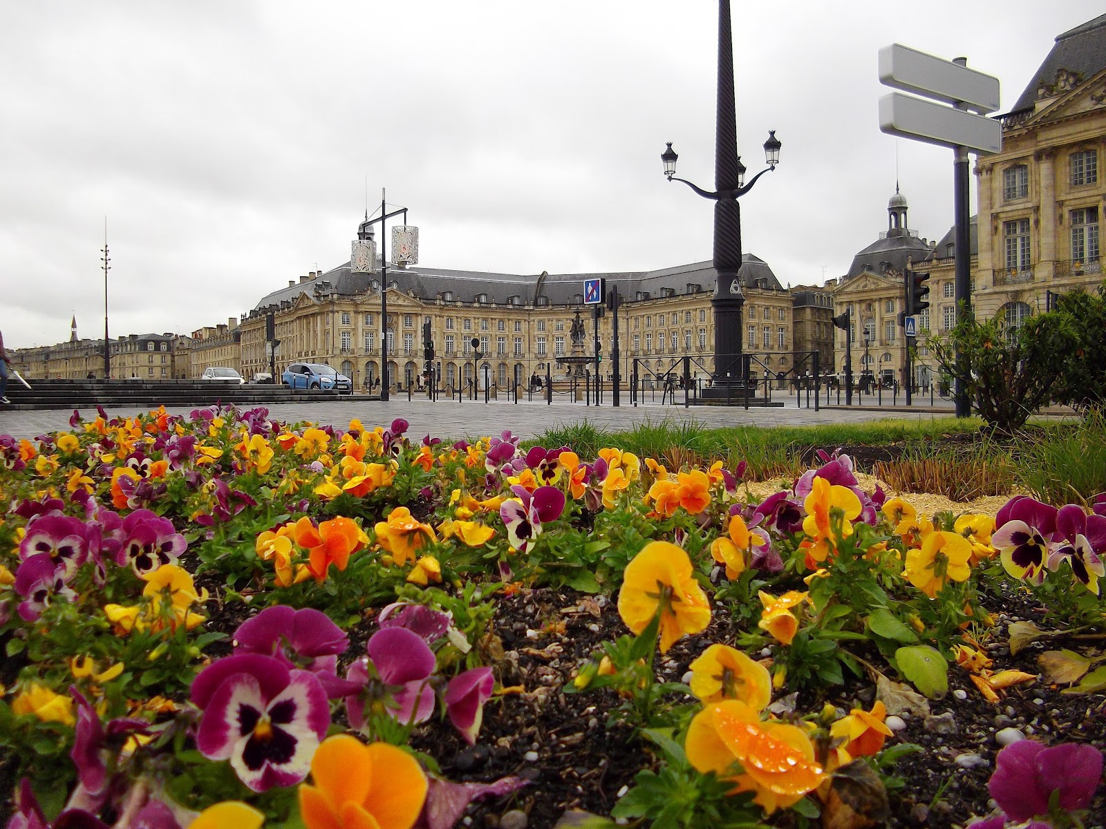 Цветочная клумба в Бордо, Франция