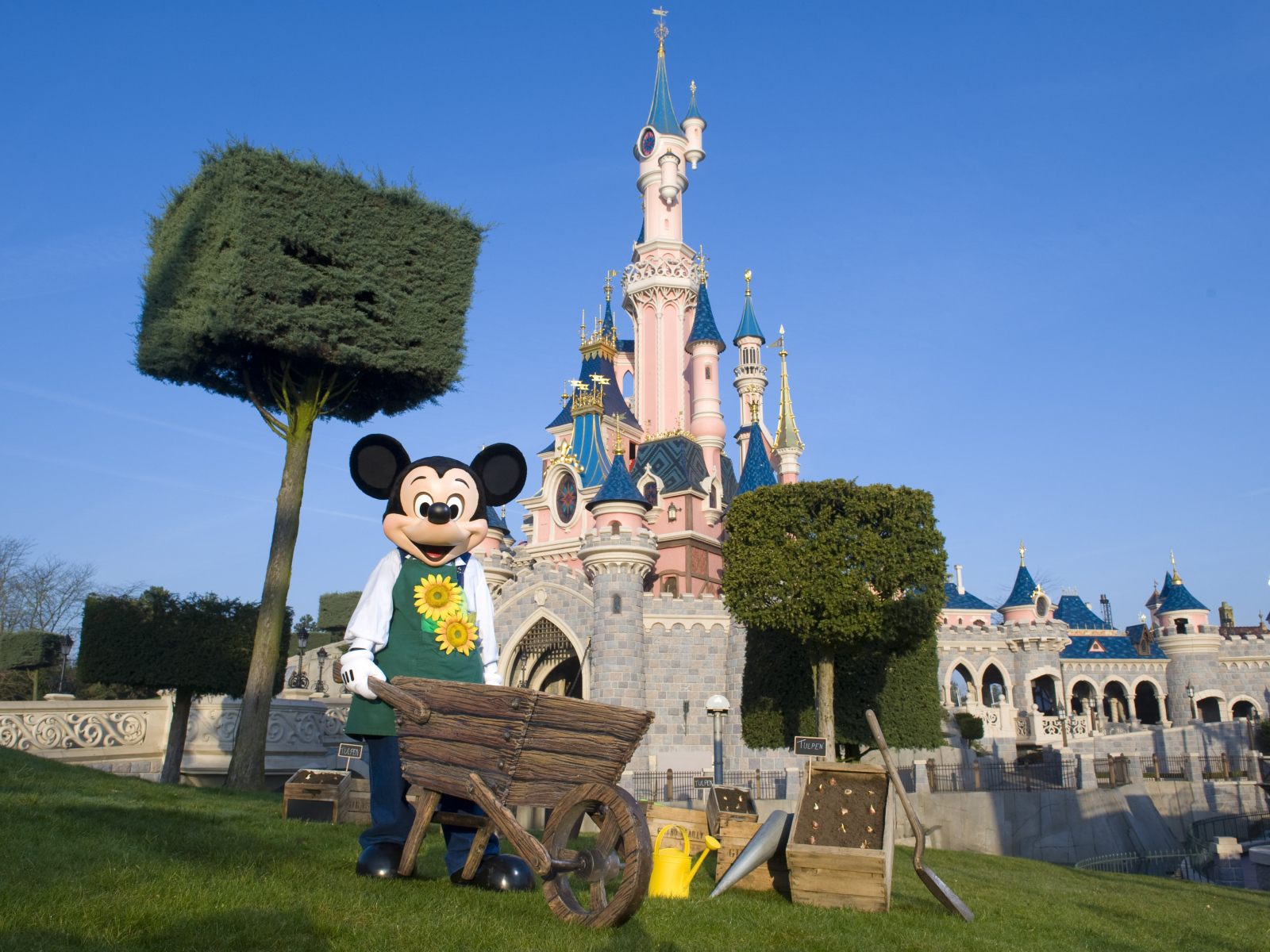 Микки Маус в Диснейленде, Франция