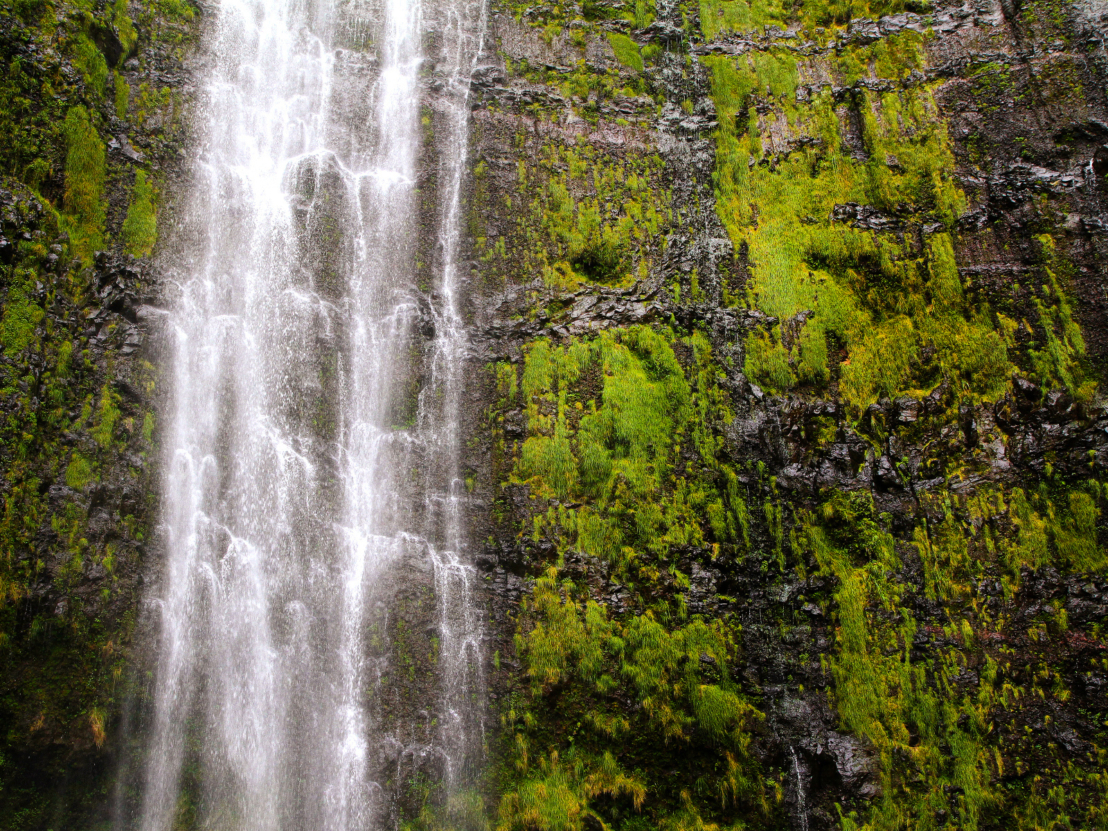 Красивый водопад Ваймоку на острове Мауи, Гавайи