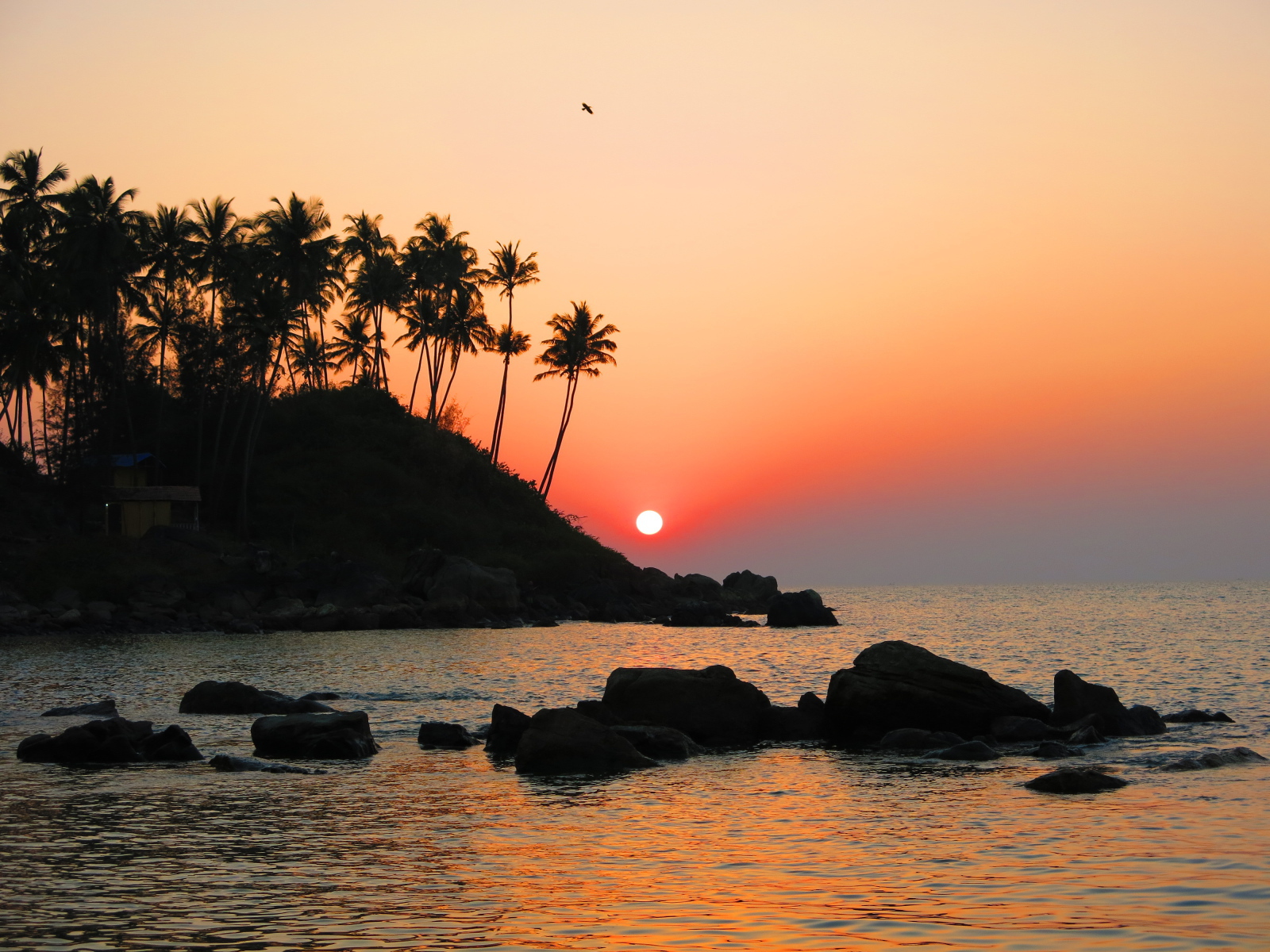 Вечер в Арамболе