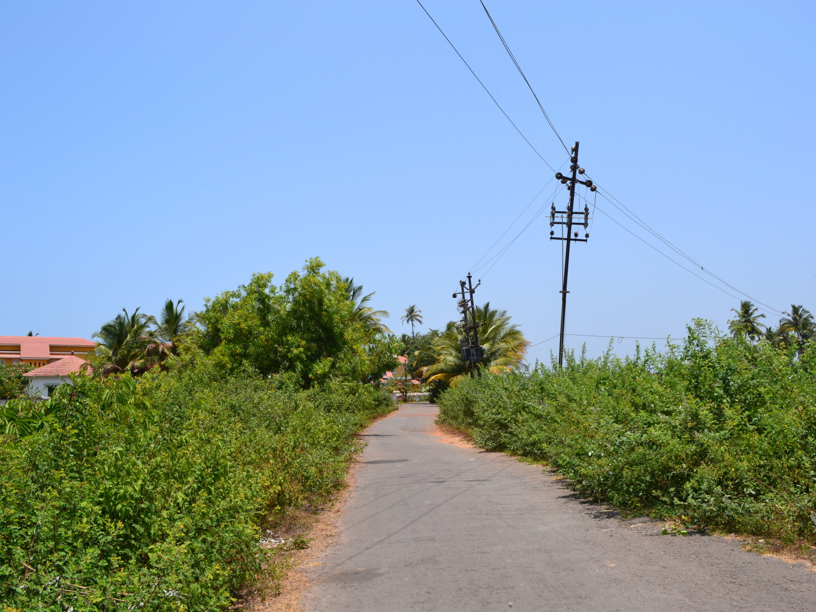 Природа в Бенаулиме