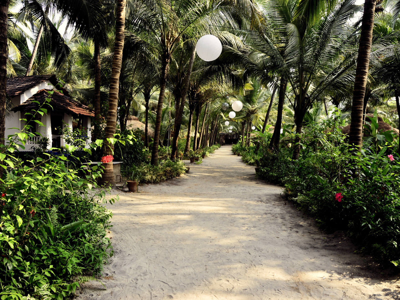 Прогулка по улицам Ашвема