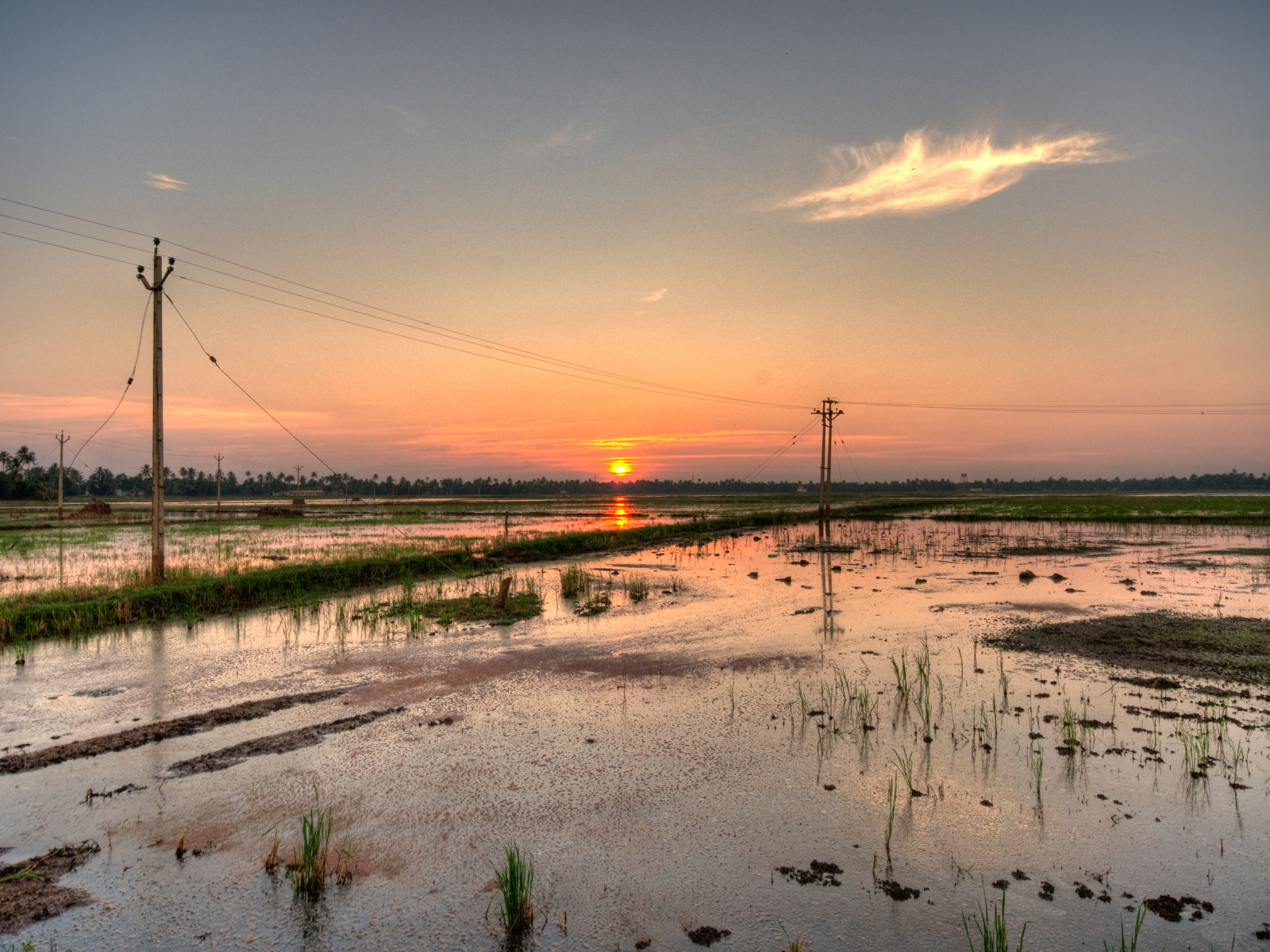 Водная местность в Алапуже