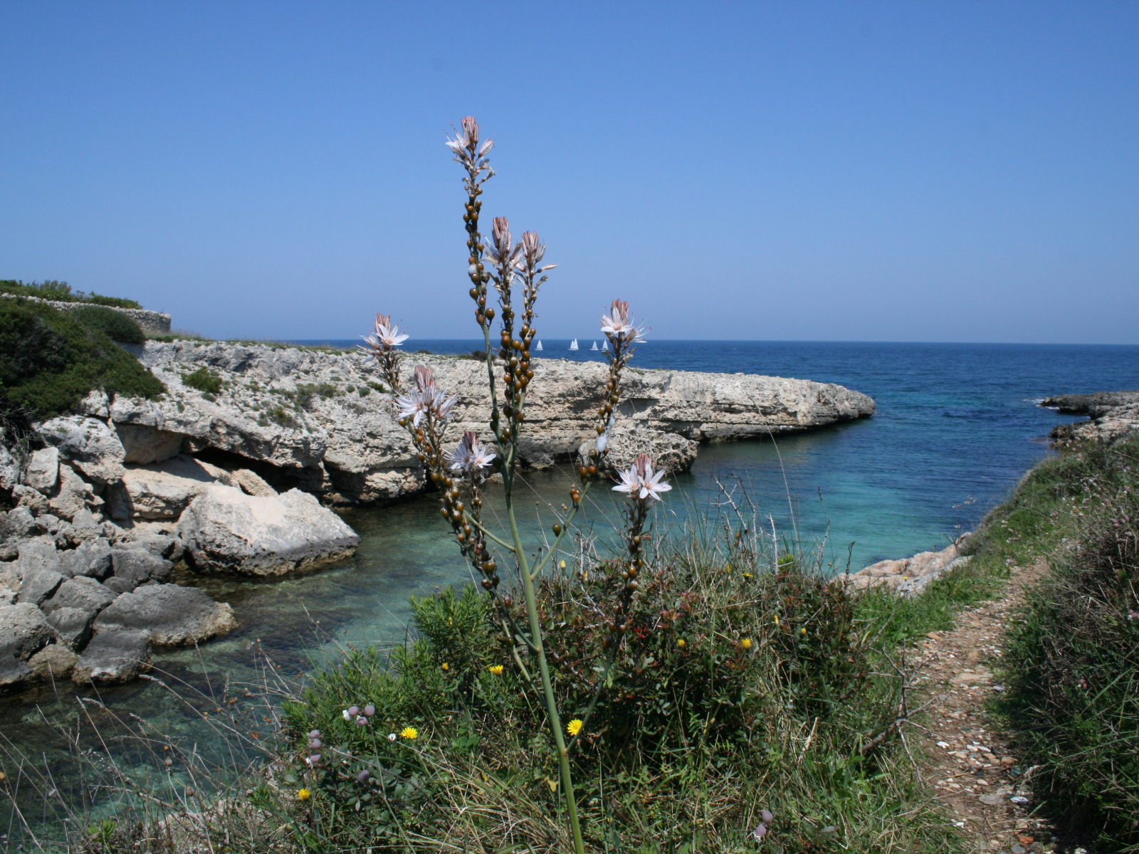 Скалистый берег в Санто Стефано аль Маре, Италия