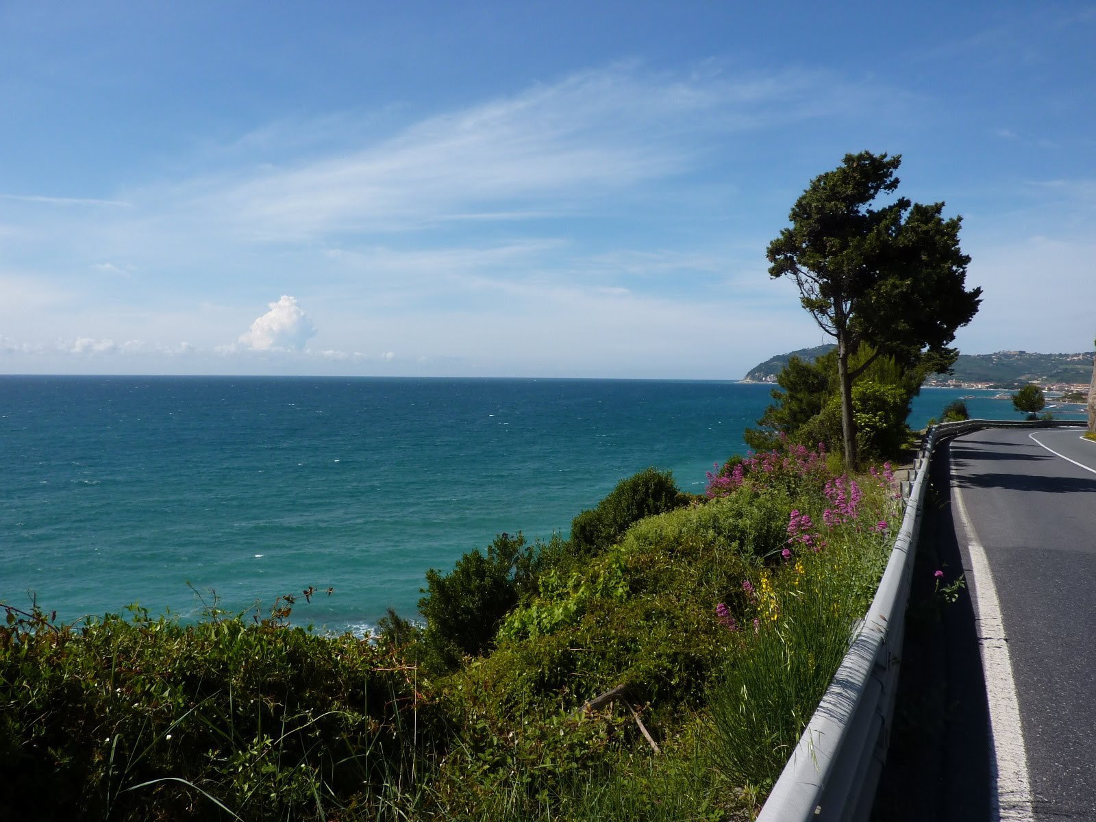 Деревья на набережной в Санто Стефано аль Маре, Италия